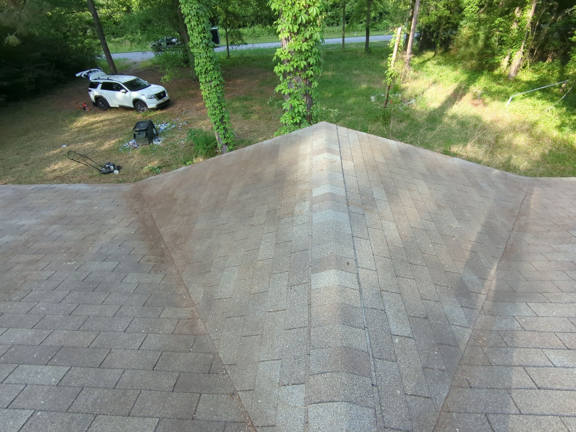 Exterior Clearing - tree trimming - grass cut by Swift Signings and Services LLC