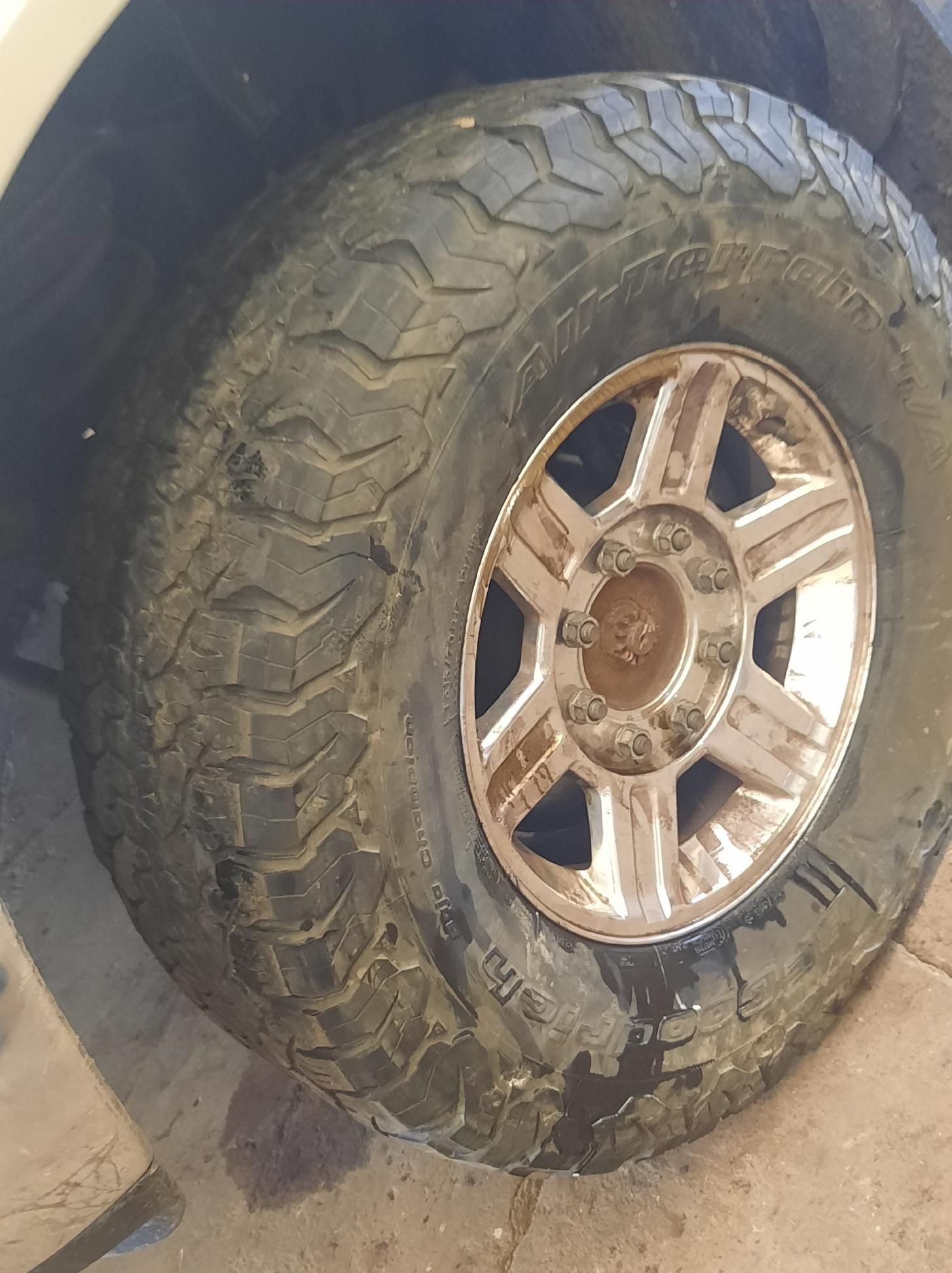 Tree Removal using Tree Removal by Mike Jones & Sons Tree Service LLC 