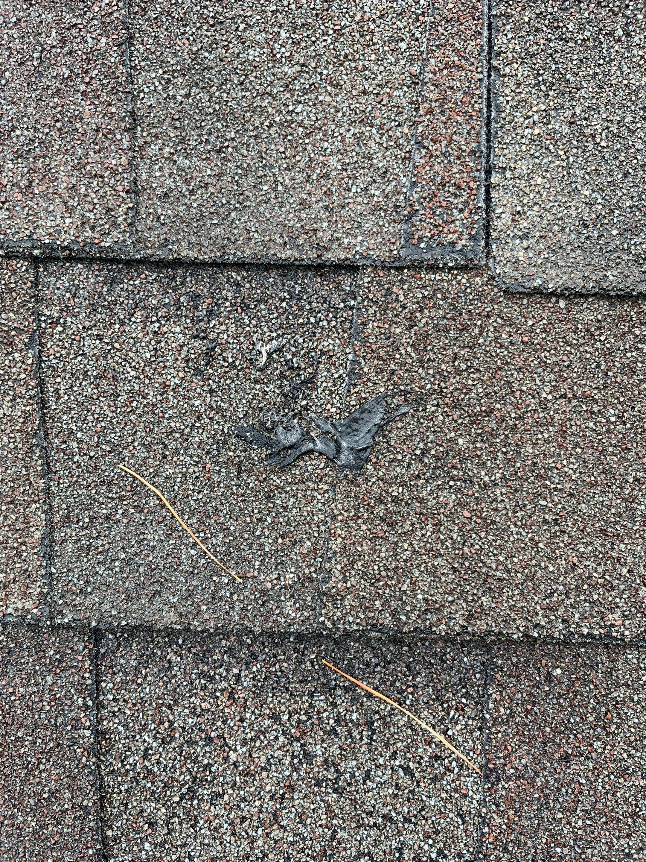 Architectural Shingle Roof Replacement and Skylight Installation in Hot Springs Village by Temple Roofing and Exteriors