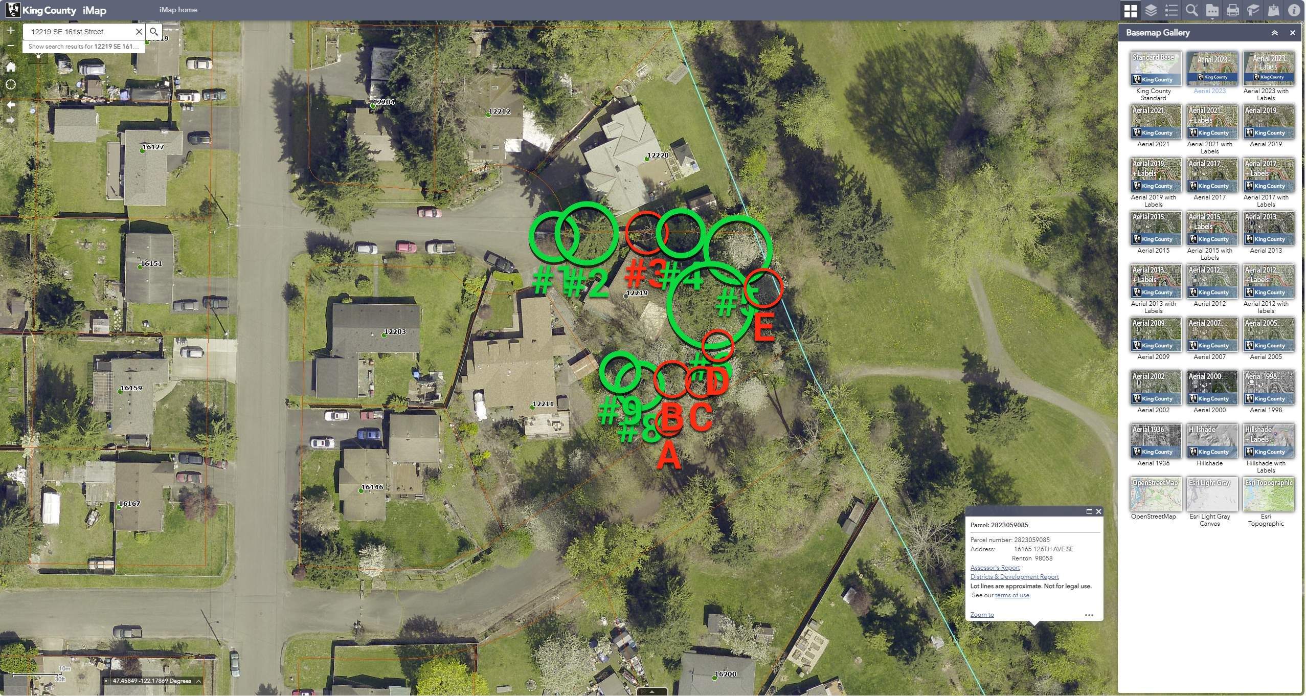 🧾 Arborist Letter for Code Violation Correction – Renton, WA by Sound Tree Care LLC