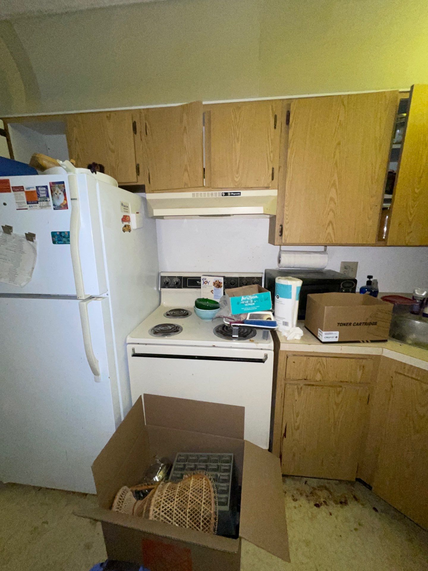 Horder house with Mold and Bacterial Contamination Issues  by Bay Coast Restoration 