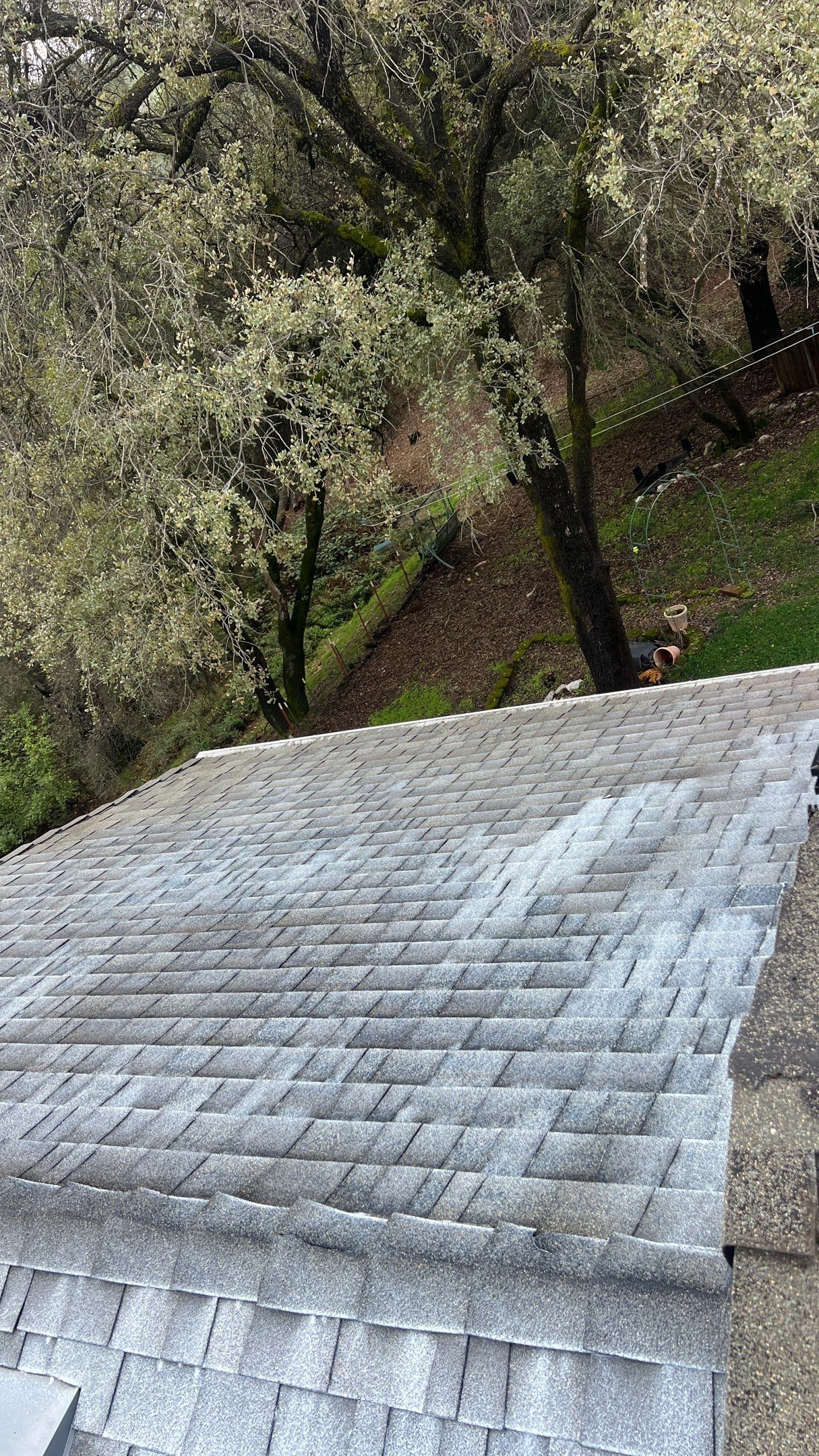 Roof Rejuvenation using Roof Maxx Treatment by Roof Maxx of Folsom