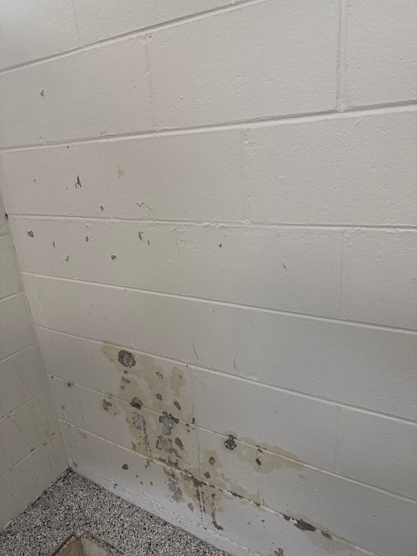 Project in Mount Pleasant by Wise Coatings of Central Michigan