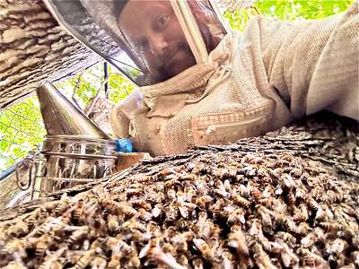 Two Colonies, One Property