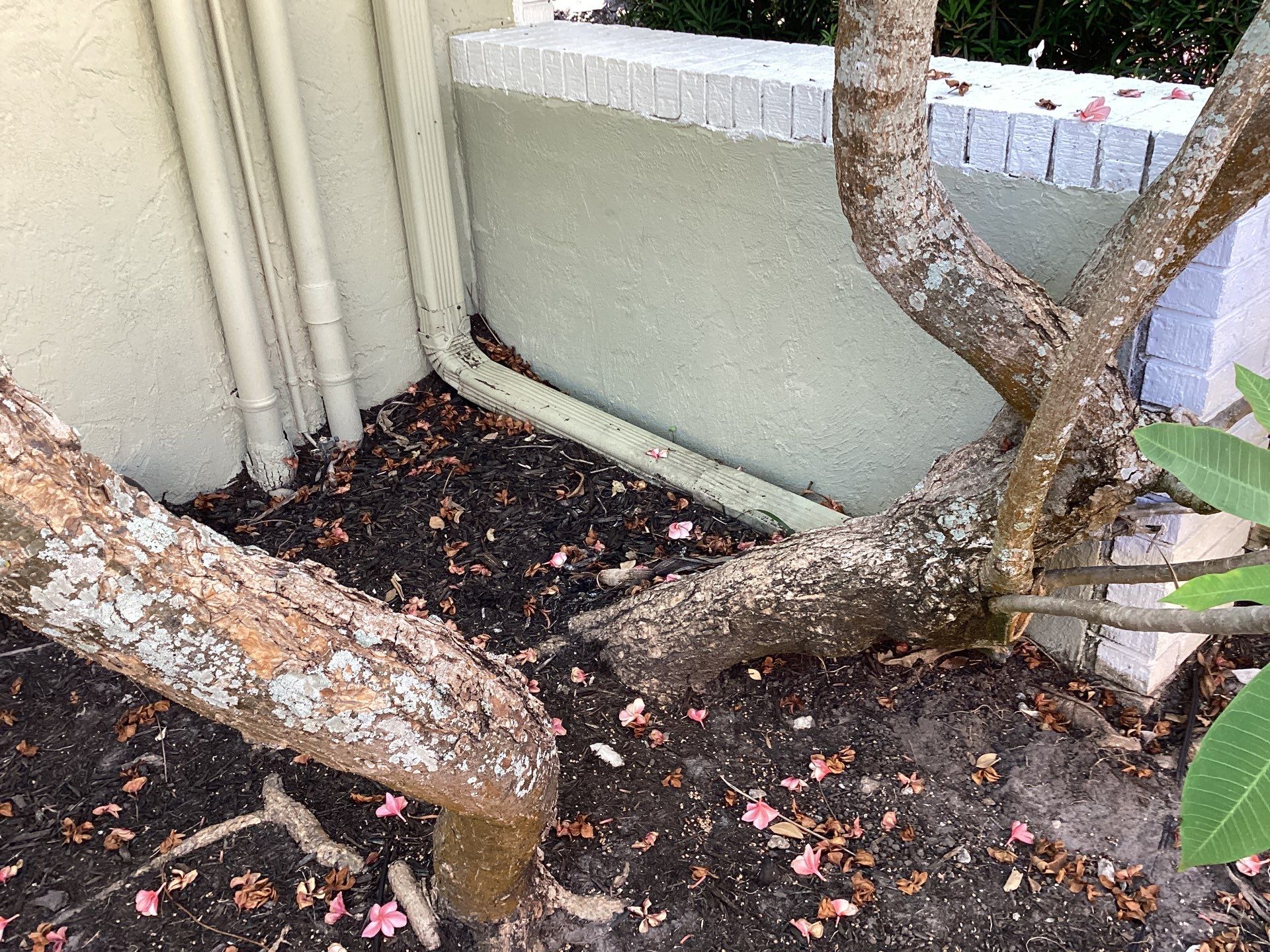 White Gutter Installation in Sarasota FL by Gutter Professors