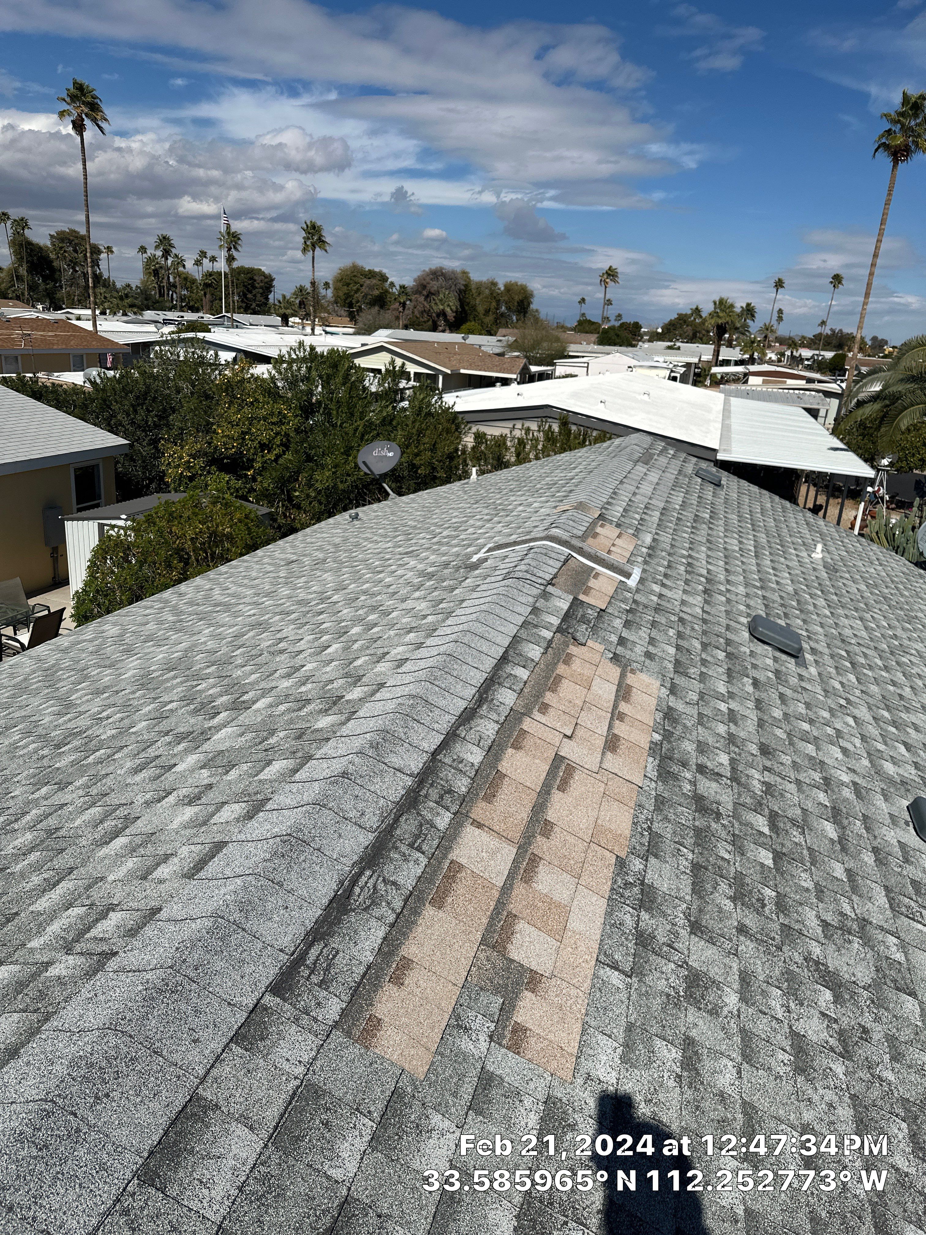 Silver Birch Shingles by Reimagine Roofing