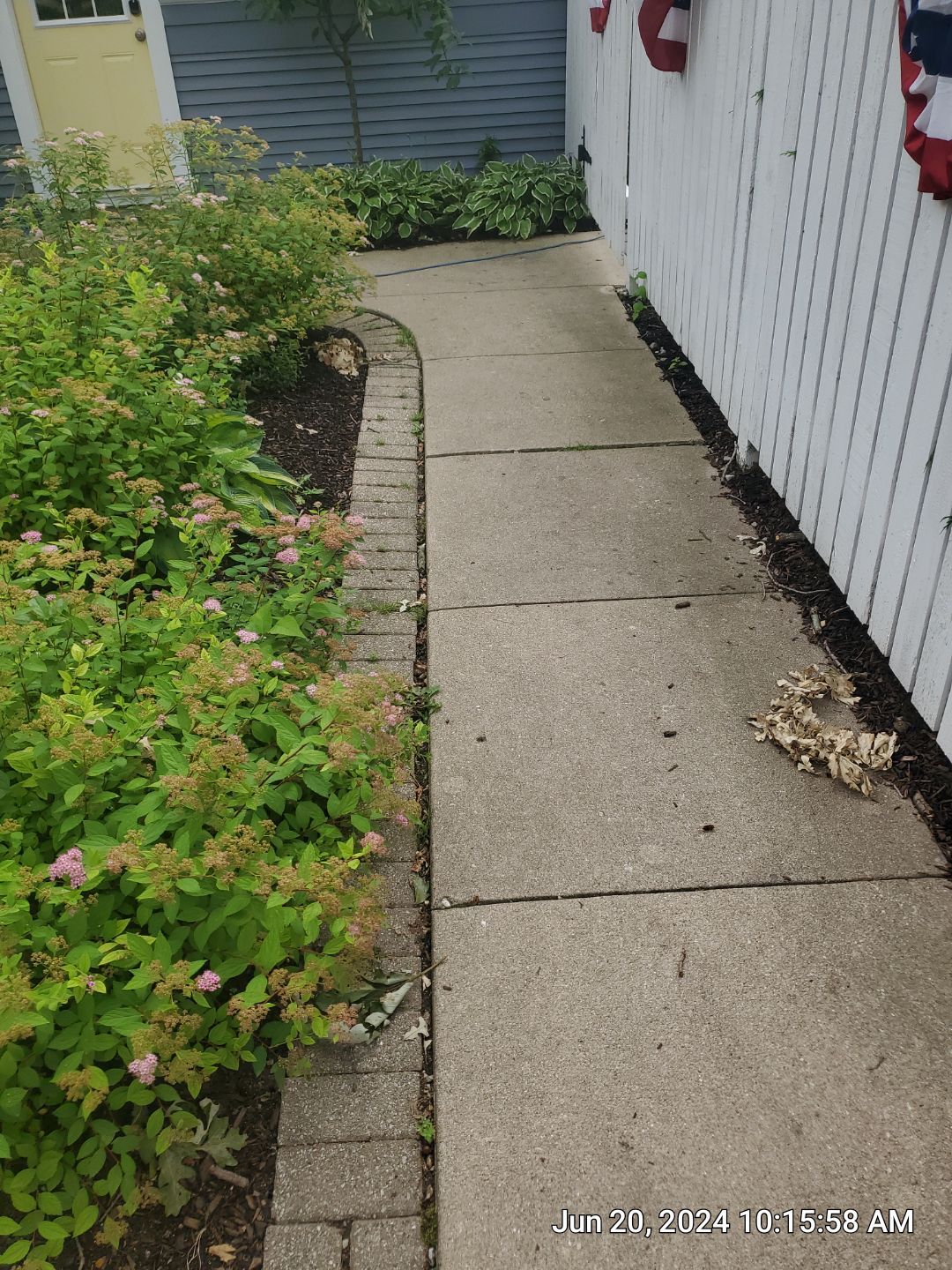 concrete cleaning using Algaecide, soft wash soap by Northern Power Washing LLC.