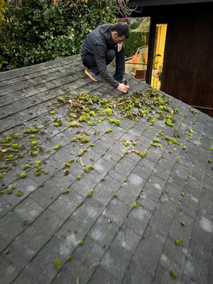 Roof cleaning