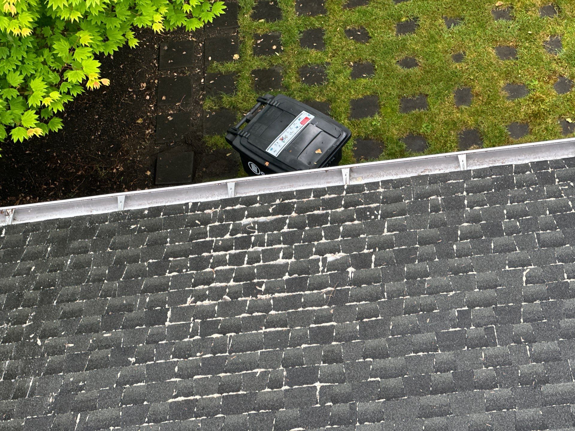 AGS Roof Wash in Mercer Island by WindowWorks