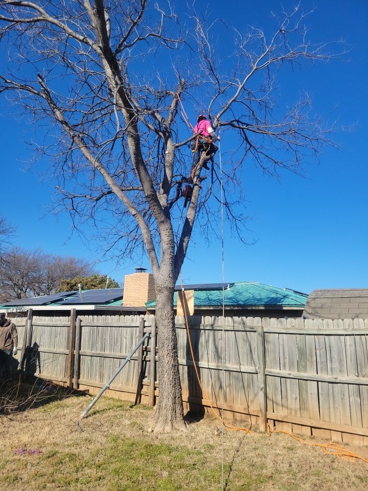 Fence , Concrete Pads , and Tree Removal by Clays Services Inc