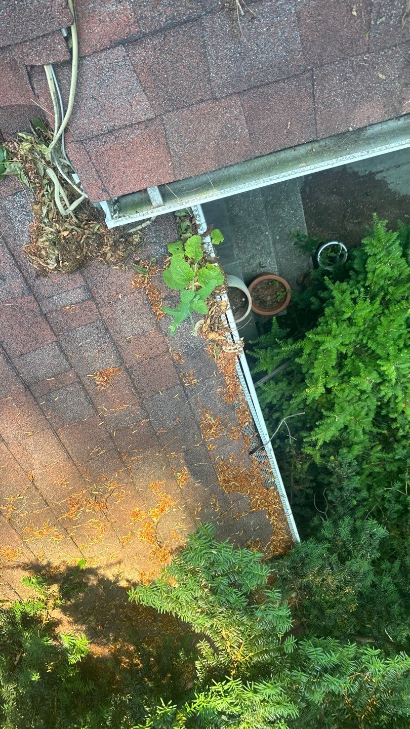 Very overdue gutter cleaning and screening by Above All Gutters 