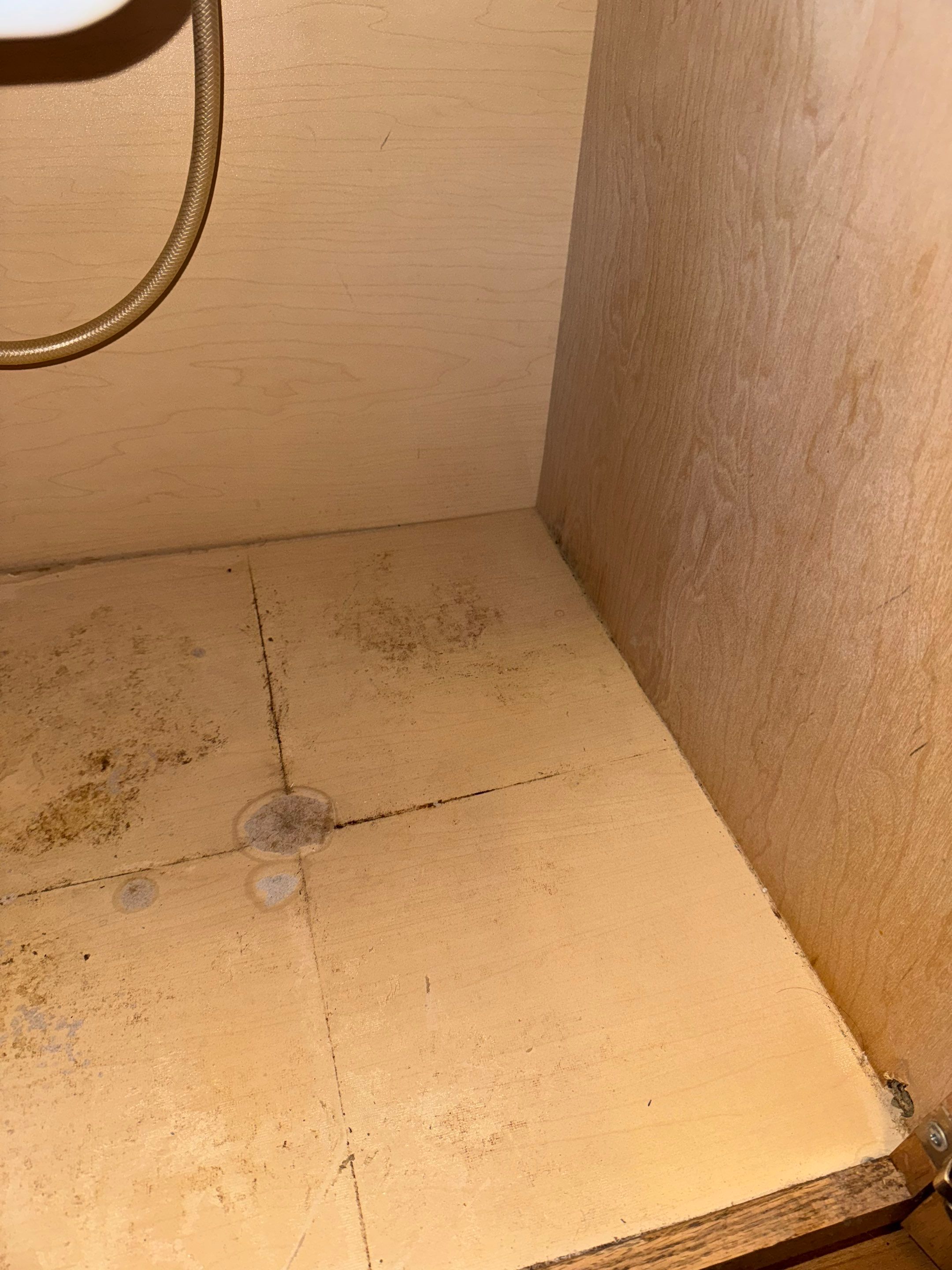 Water Damage in Wheat Ridge, CO by Alpha Restoration 