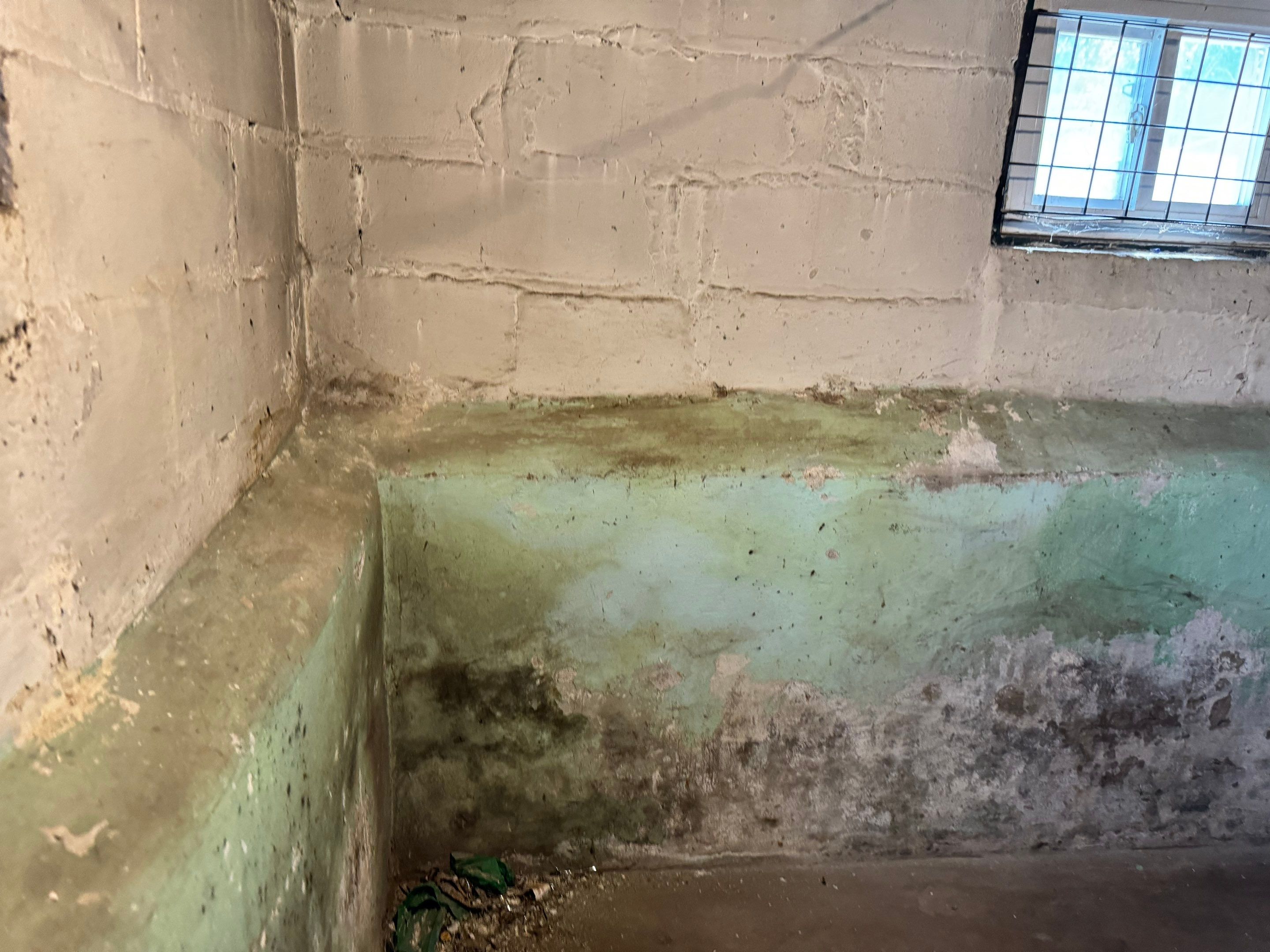 Interior French Drain West Orange NJ by Pure Service Pro, LLC 