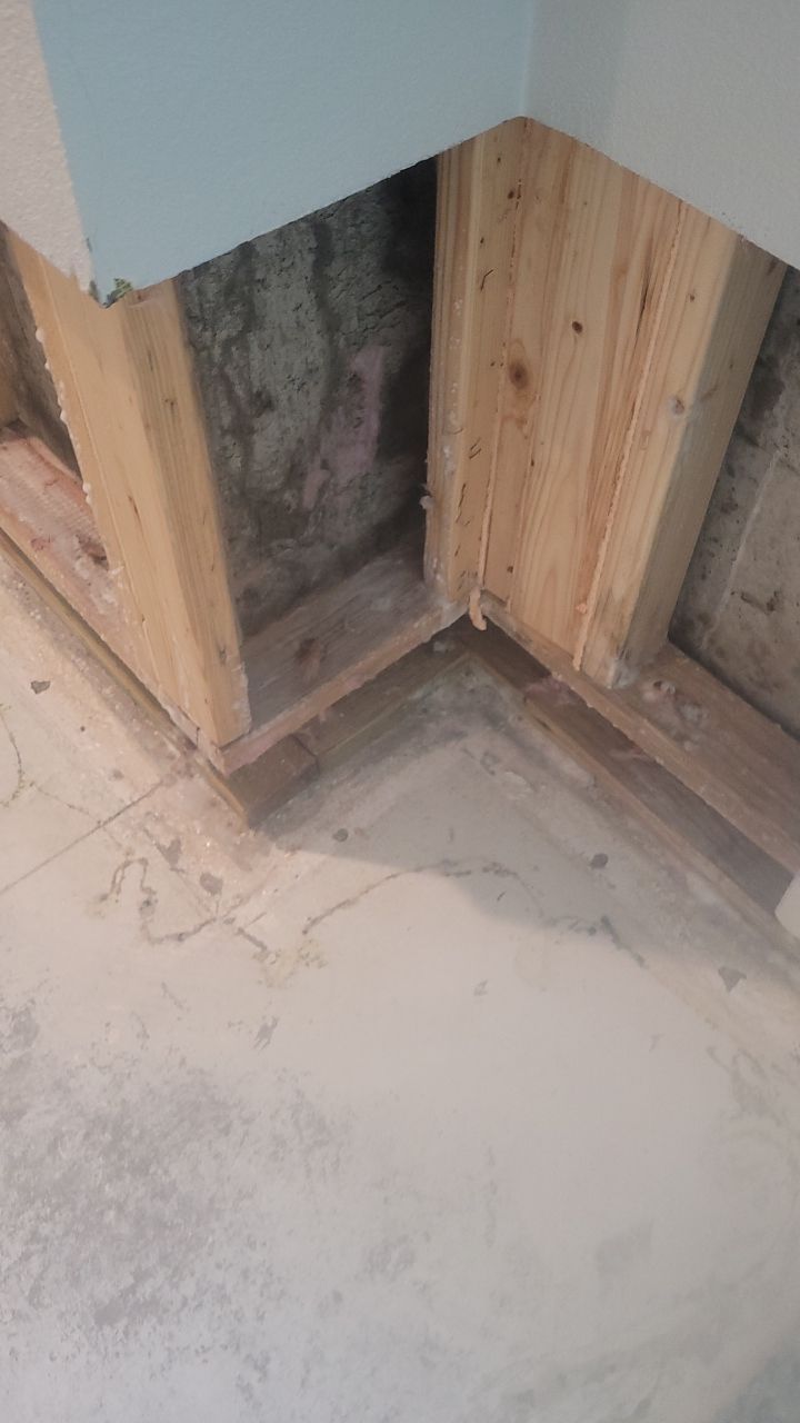 Mold Remediation  by Accountable Home Services