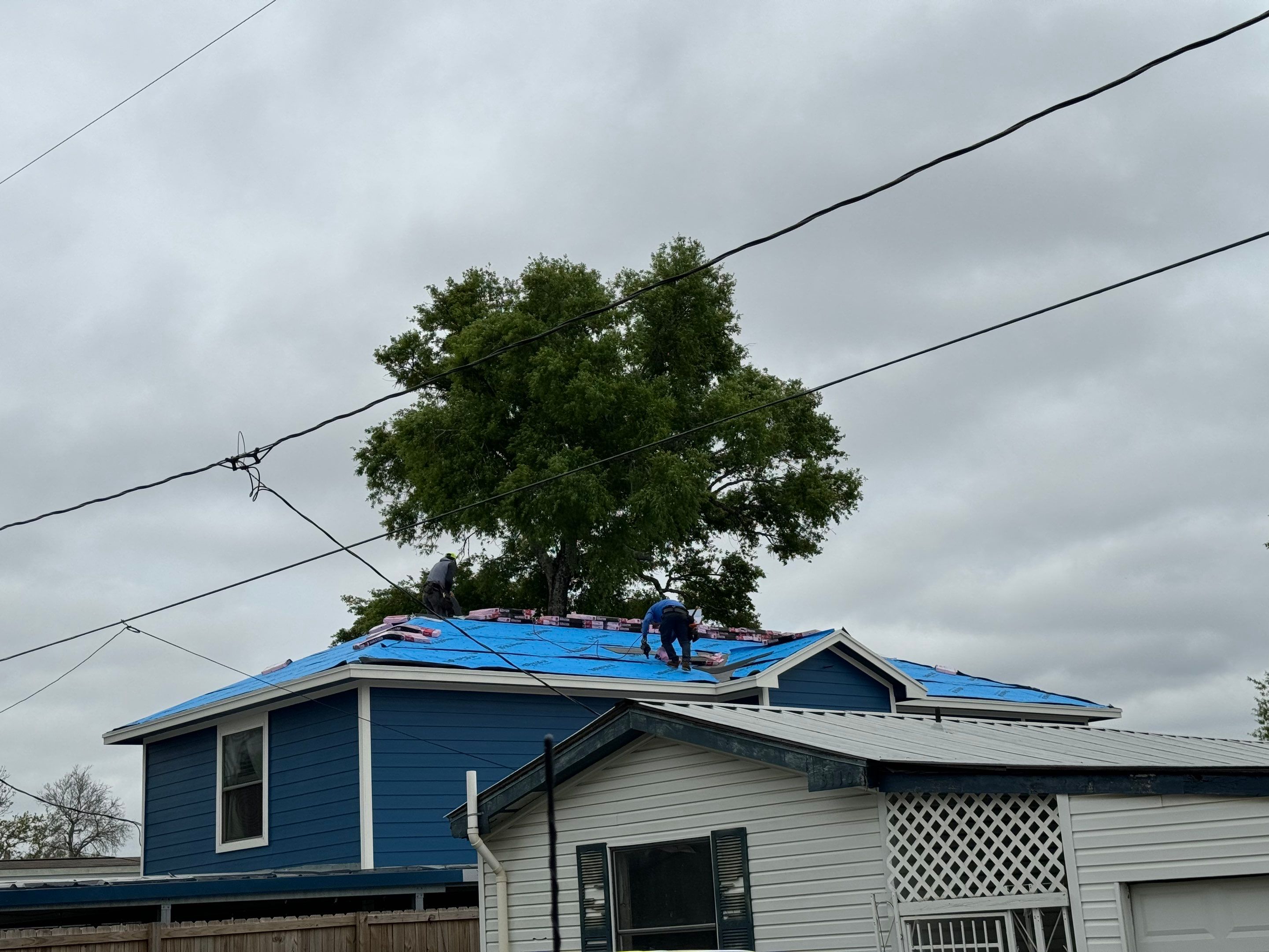 Hail Damage by Southern Belle