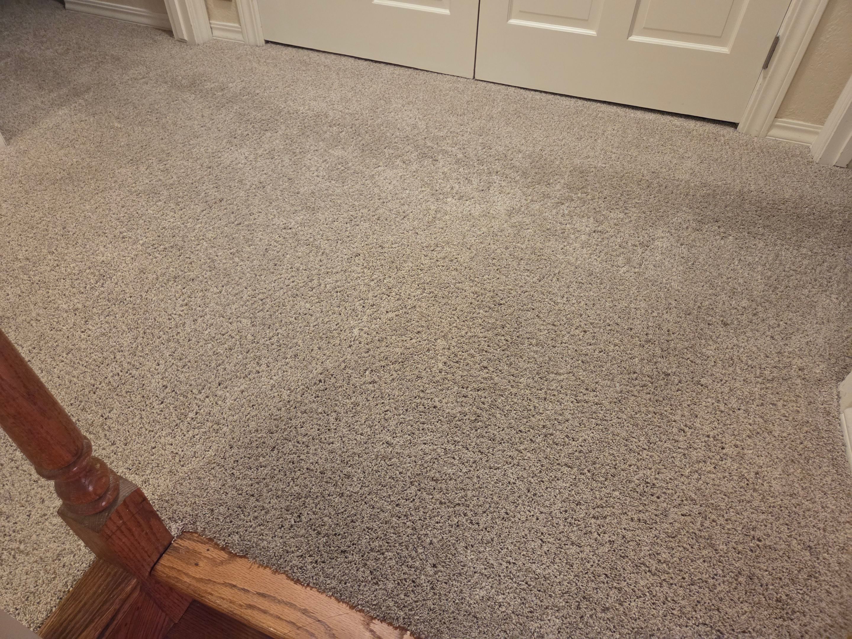 Carpet Re-stretch and Cleaning in Granite Bay by Ardent Carpet Restore LLC