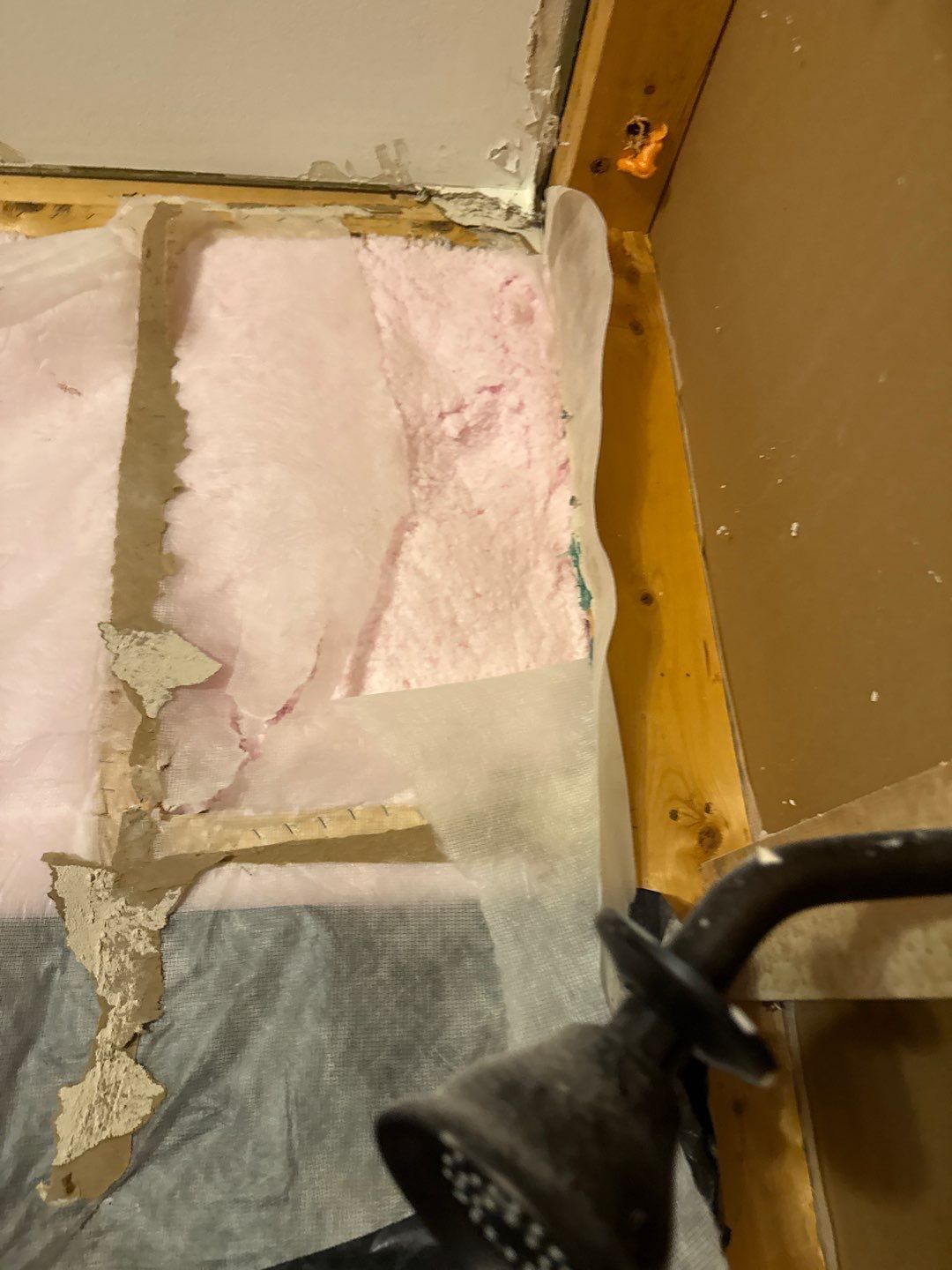 Bathroom and Crawlspace Water Damage and Mold by Healthy Home Solutions