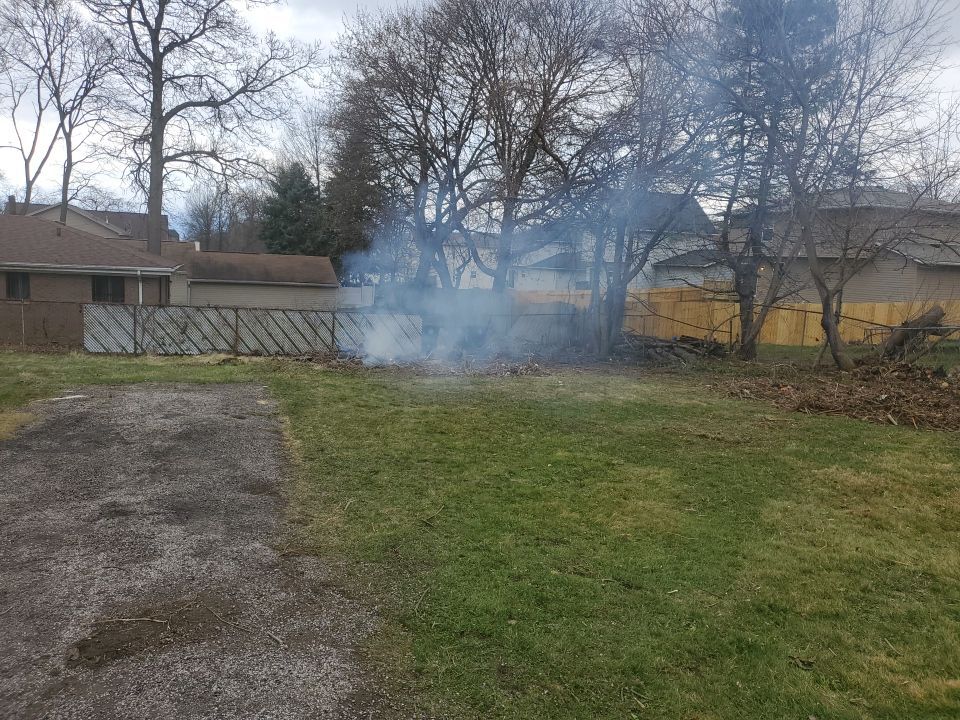 Tree Removal using Tree Removal by Mike Jones & Sons Tree Service LLC 