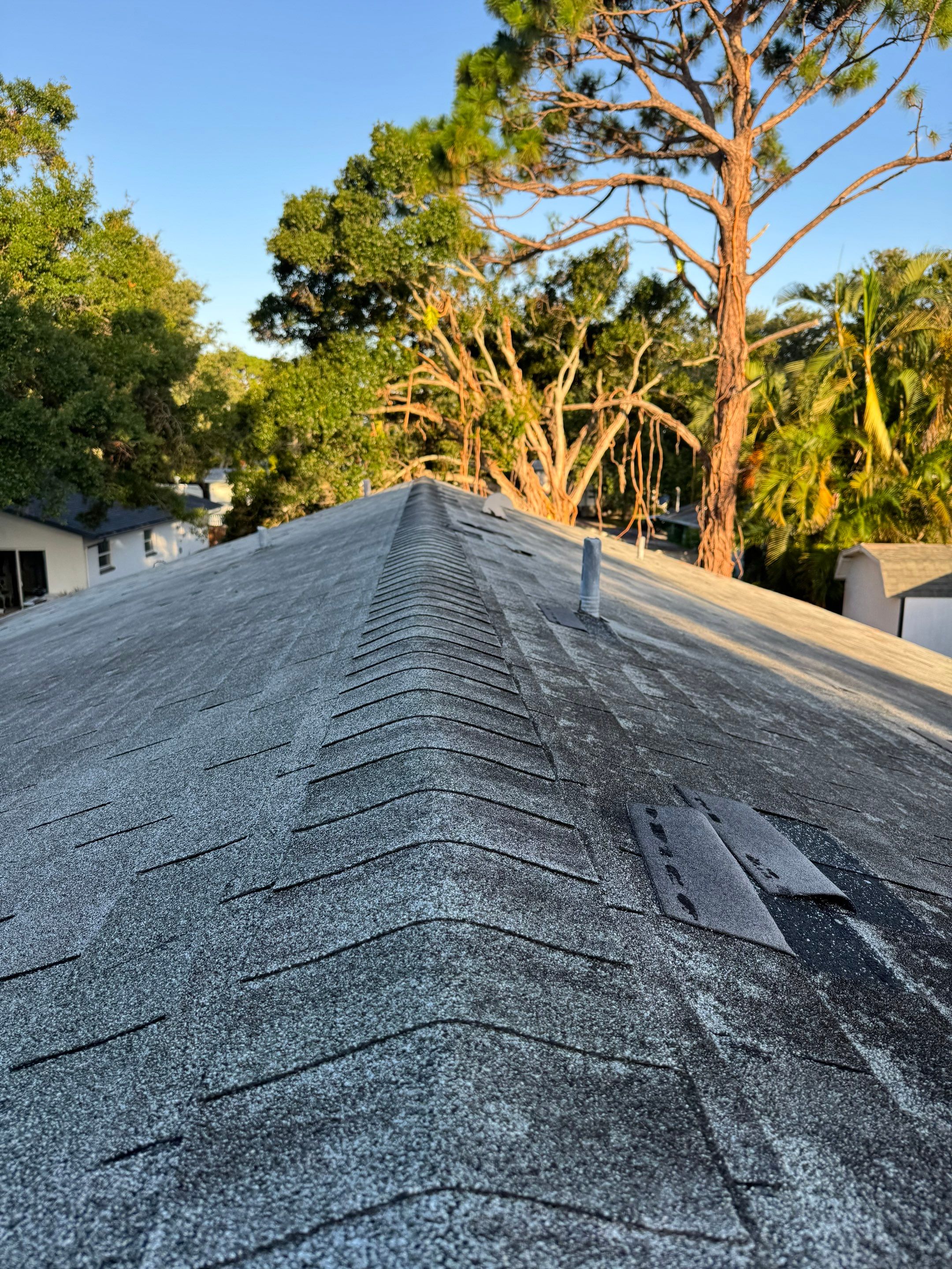 Project in Pinellas Park 33781 by Mitchell Roofing Company LLC