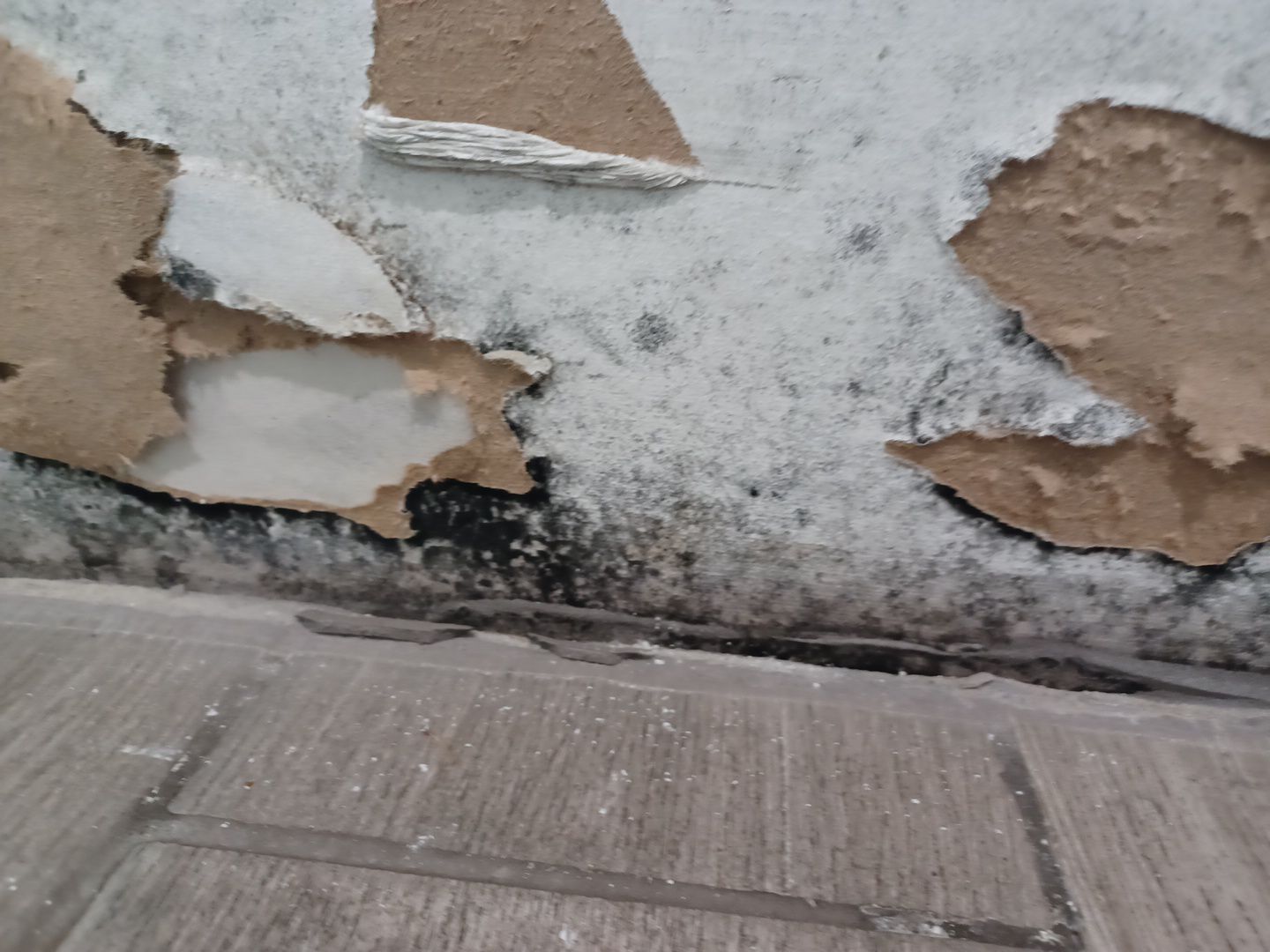 Project in Monroe by EzDry Water Mitigation & Property Restoration