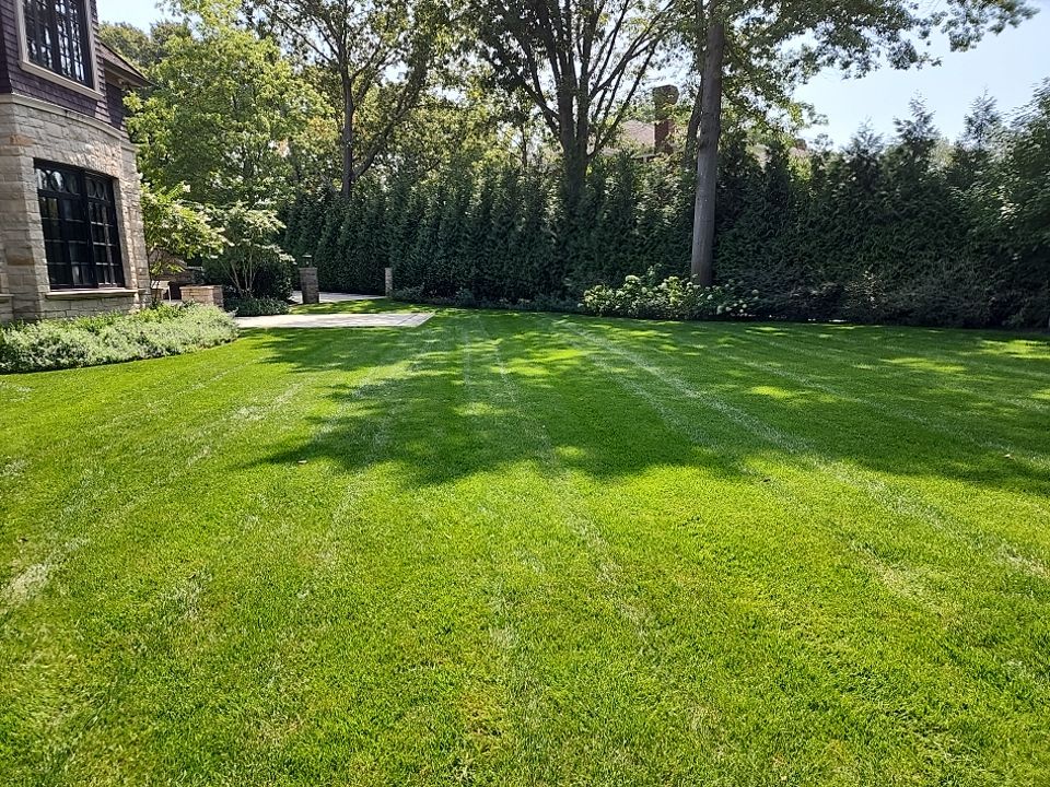 Landscape Design by elegant Lawns