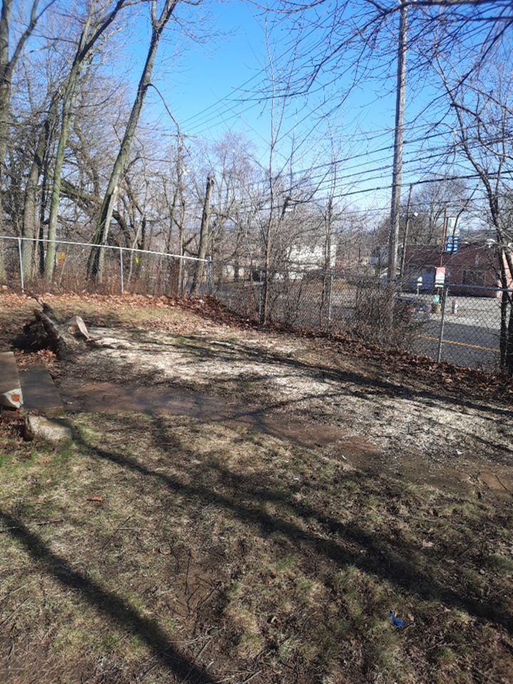 Tree Removal using Tree Removal by Mike Jones & Sons Tree Service LLC 