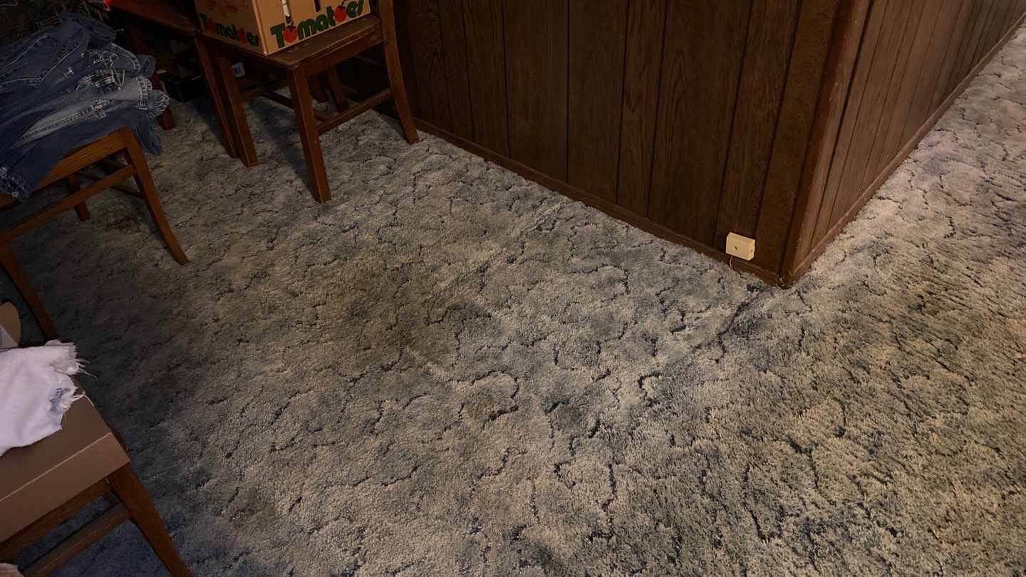 Water Damage  by Accountable Home Services