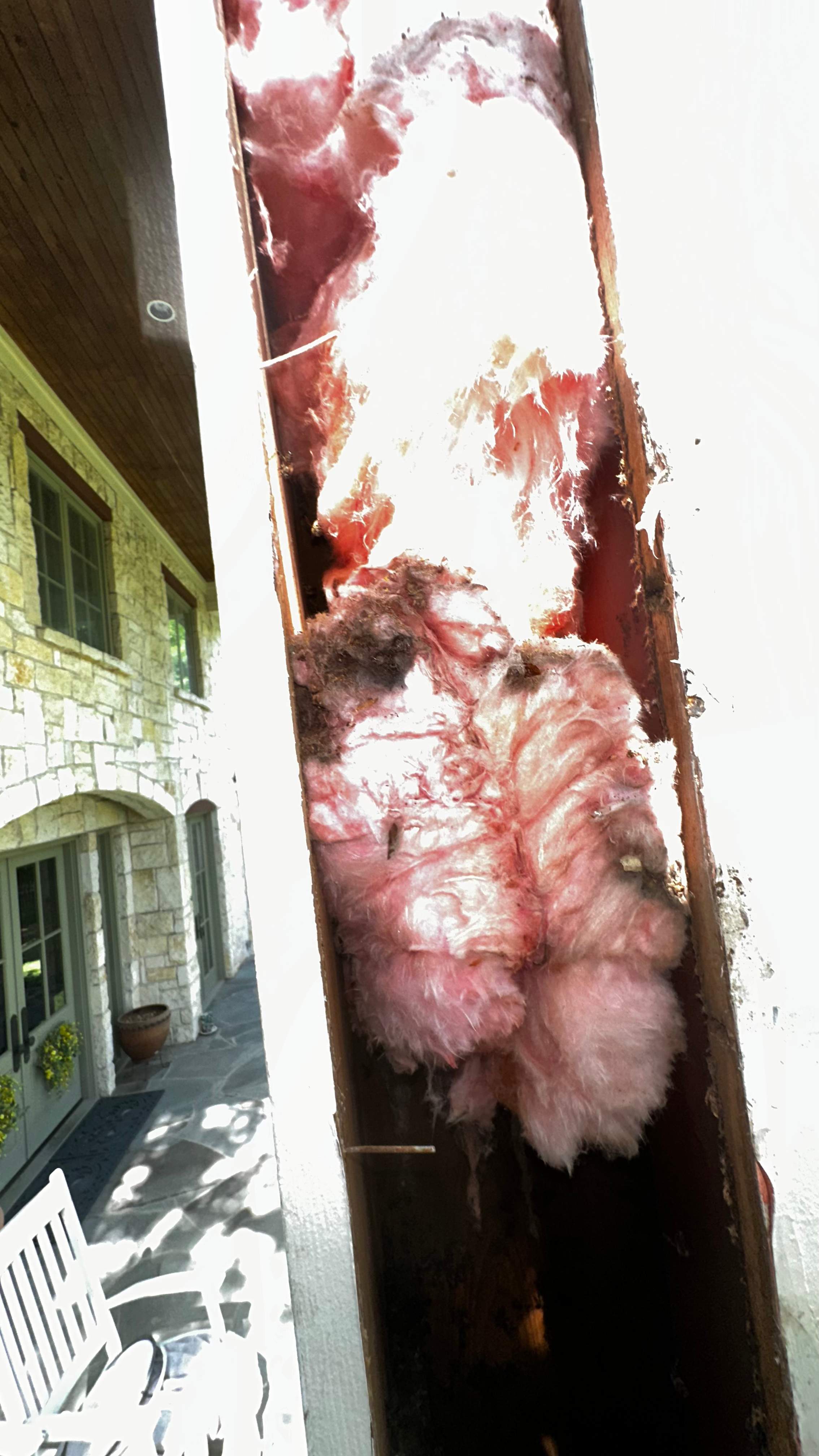 Column Bees by Rockwall Honey Bee Company