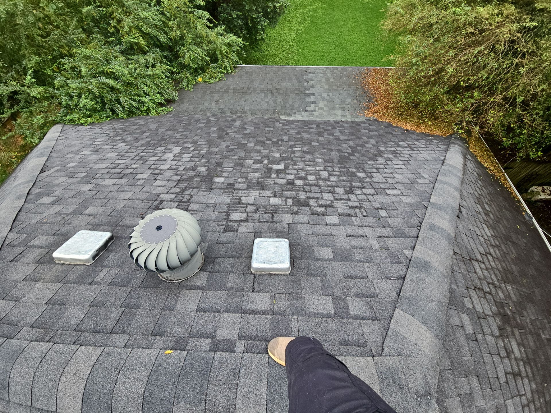 Judy roof replacement  by BROCK BUILDERS 