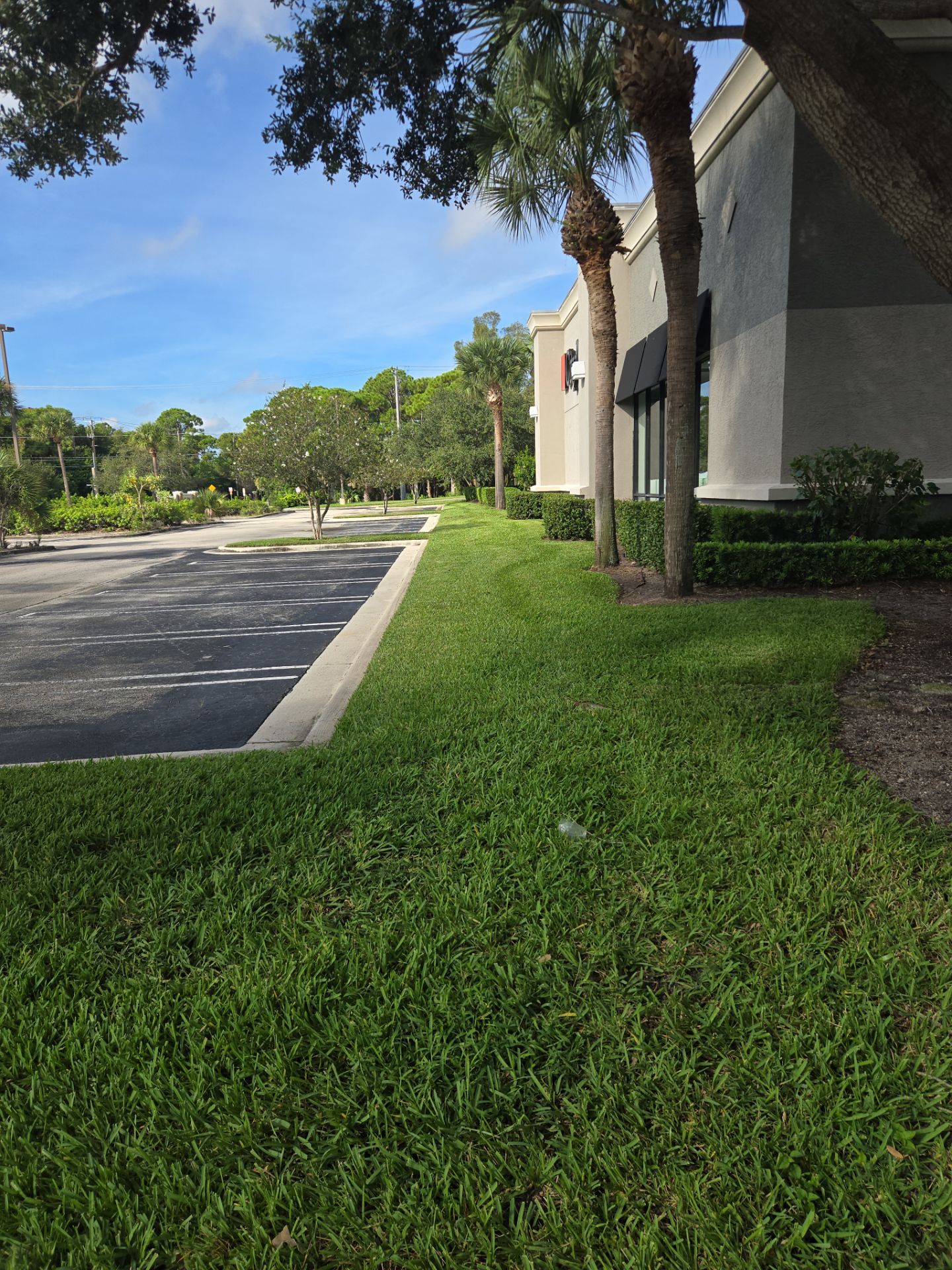 🛏️ City Mattress Refresh — Jensen Beach by Alpha Zeta Enterprises Inc