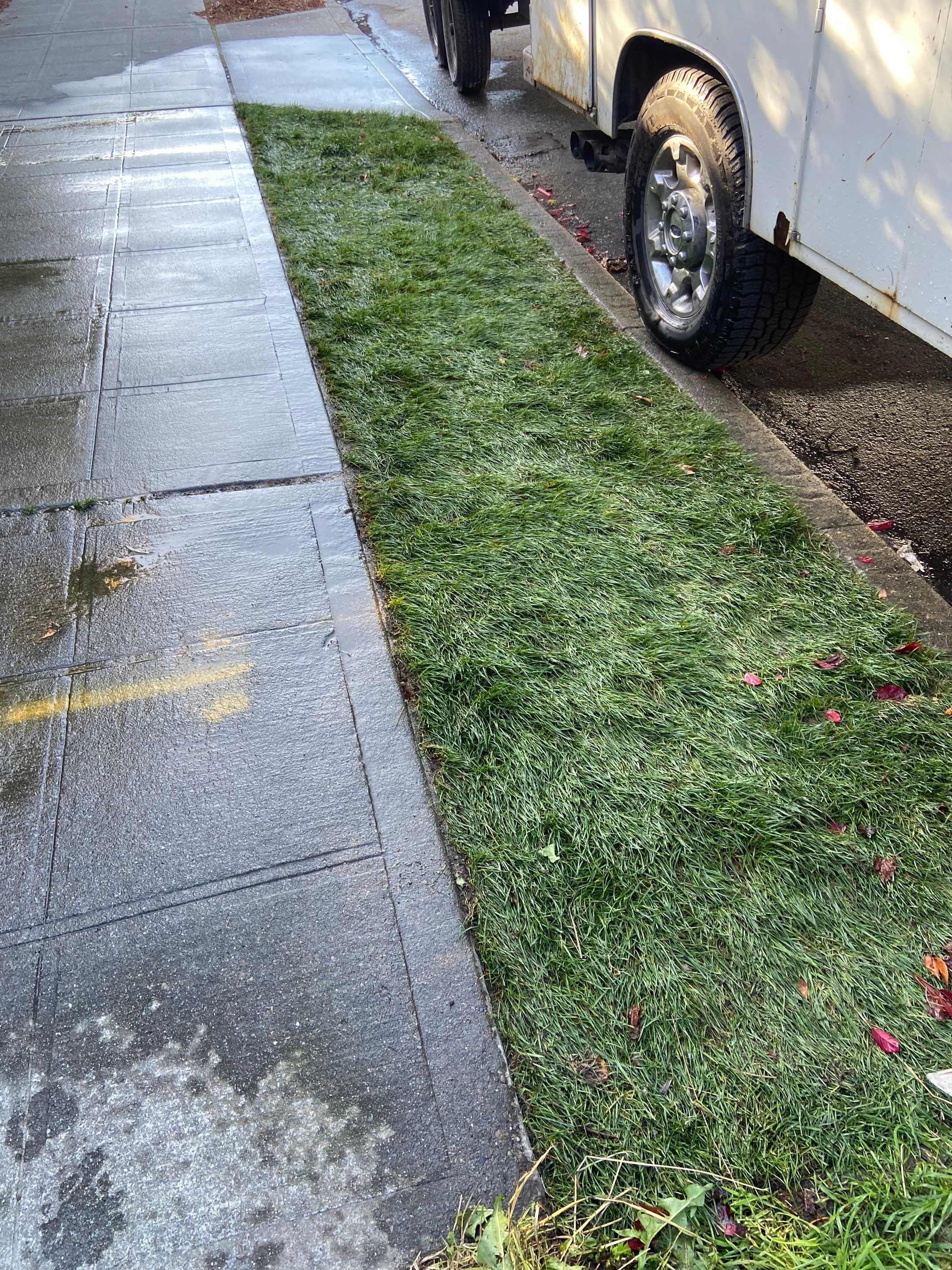 Paver Walkway & Turf Installation | Seattle  by Jireh Asphalt & Concrete Inc 