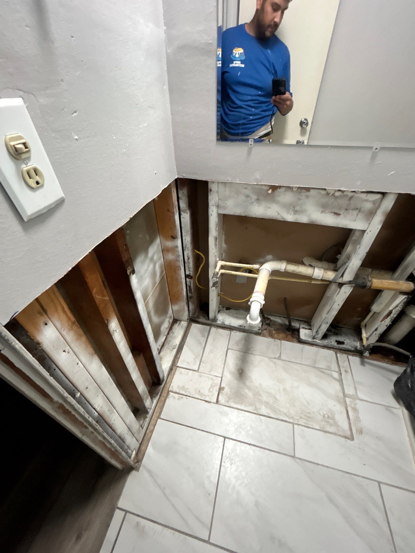 Mold Remediation In Sarasota, FL  by Ampm Restoration Services 