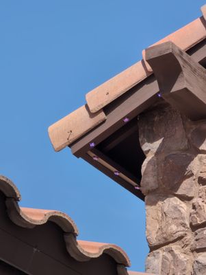 Project in Scottsdale