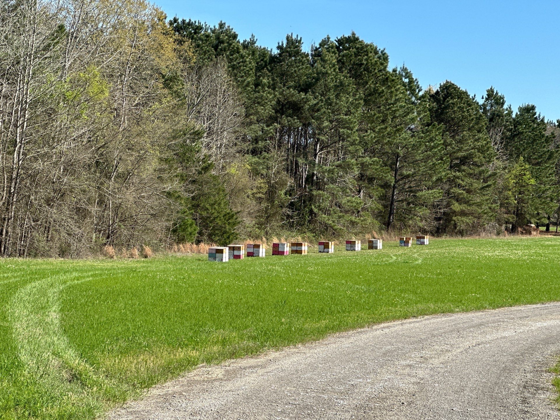 W Family Apiary by Rockwall Honey Bee Company