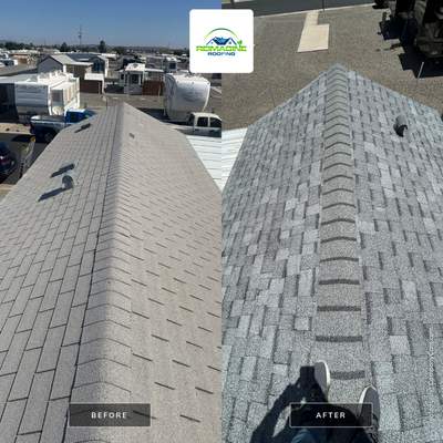 Silver Birch Shingles