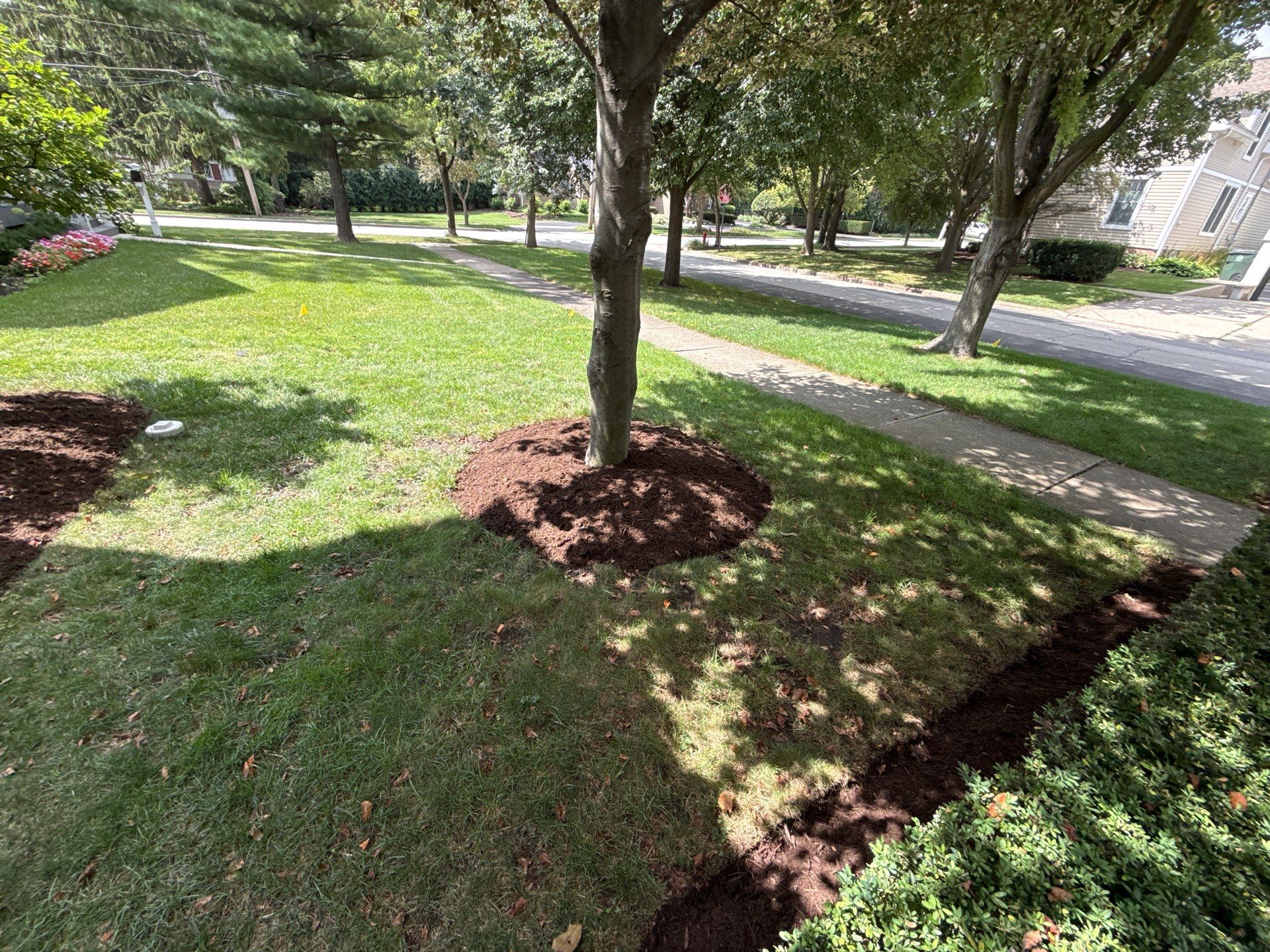 Jason G. - Arlington Heights, IL by A&N