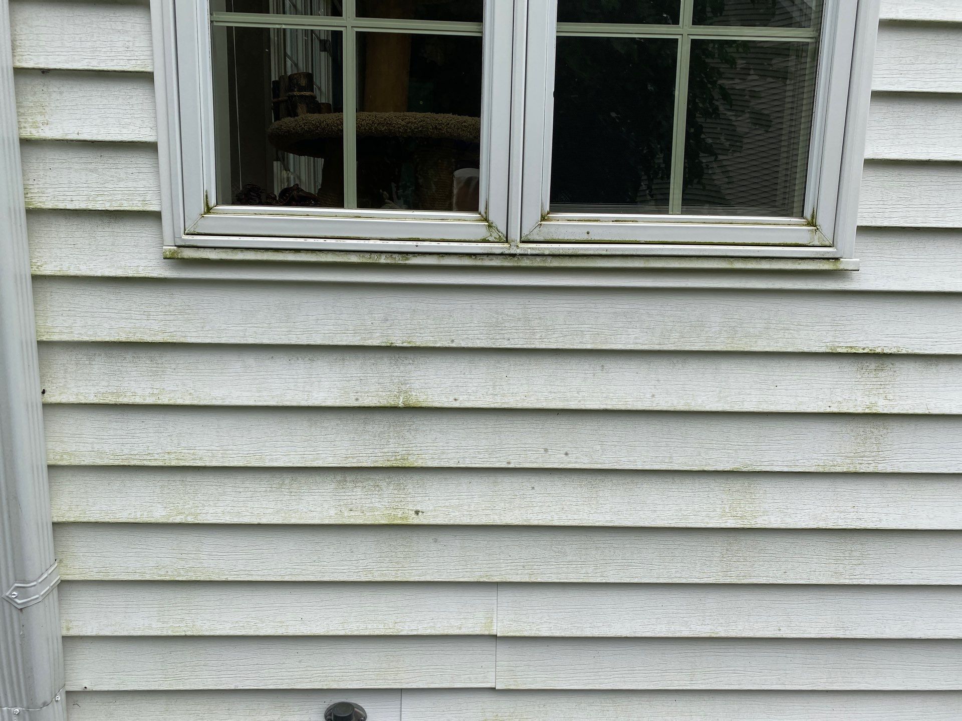 House wash and concrete cleaning by Shulla Exterior Cleaning