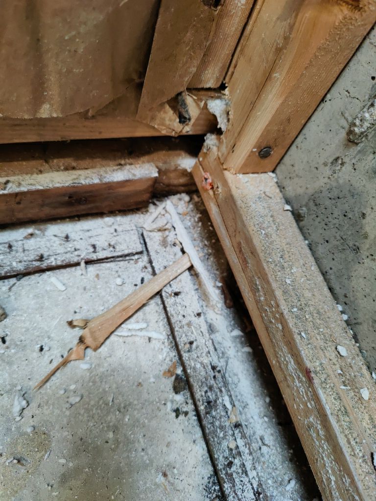 Mold Remediation by Accountable Home Services