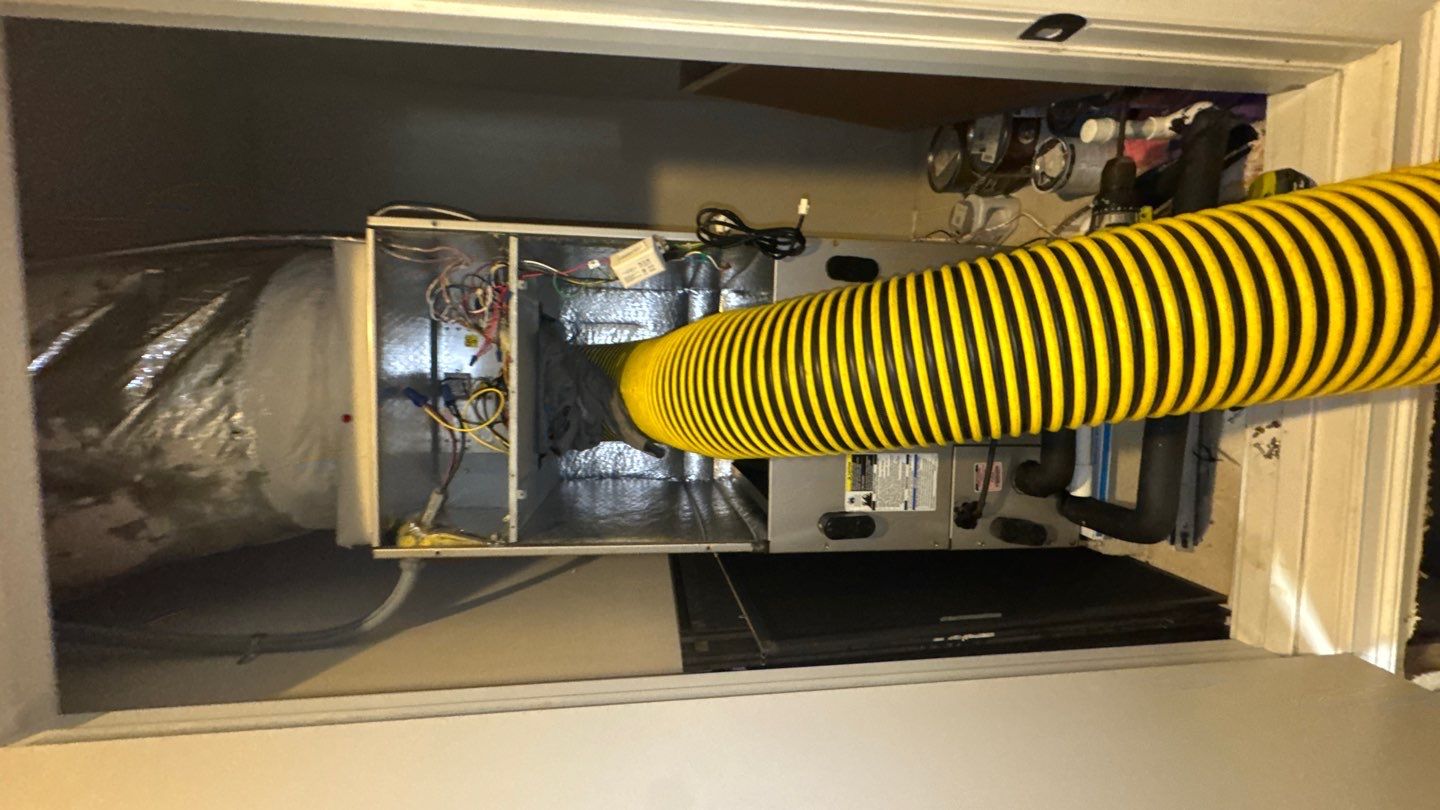 Air Duct Cleaning in Minneola by Hygienic Air, Inc