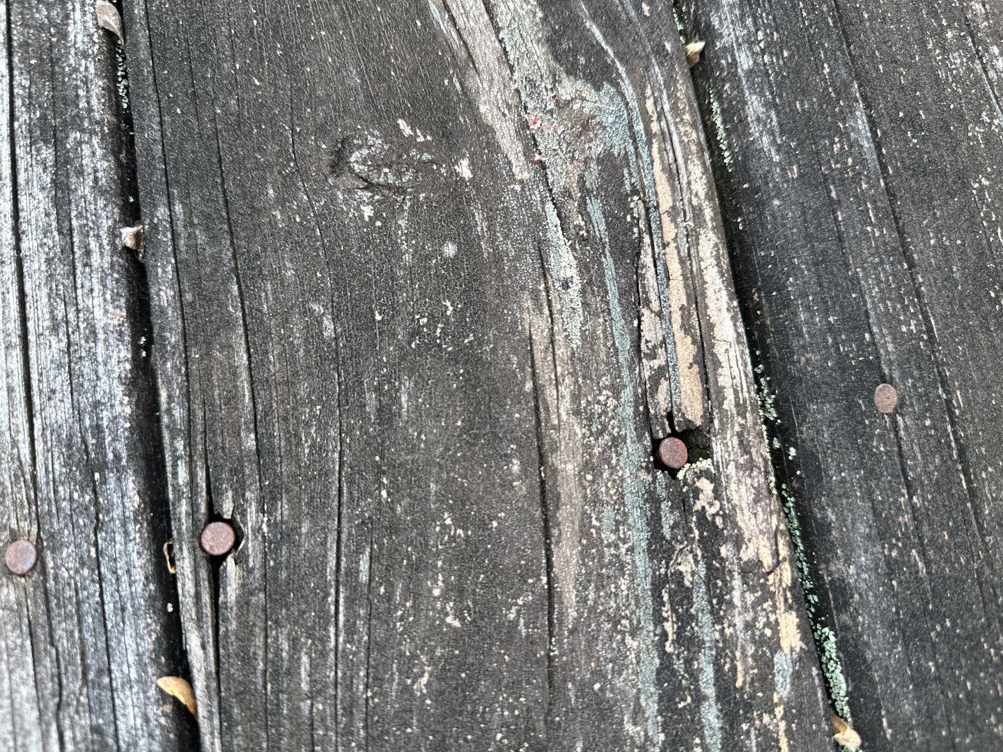 Dock using Wood Sealant by DuraSeal