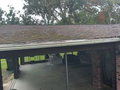 Gutter Cleaning Service 