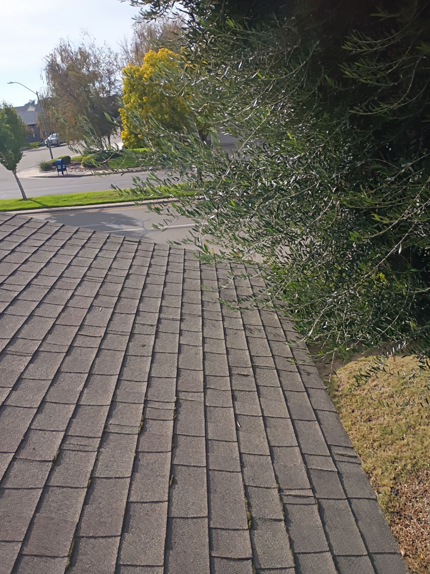 Roof Rejuvenation using Roof Maxx Treatment by Roof Maxx of Folsom