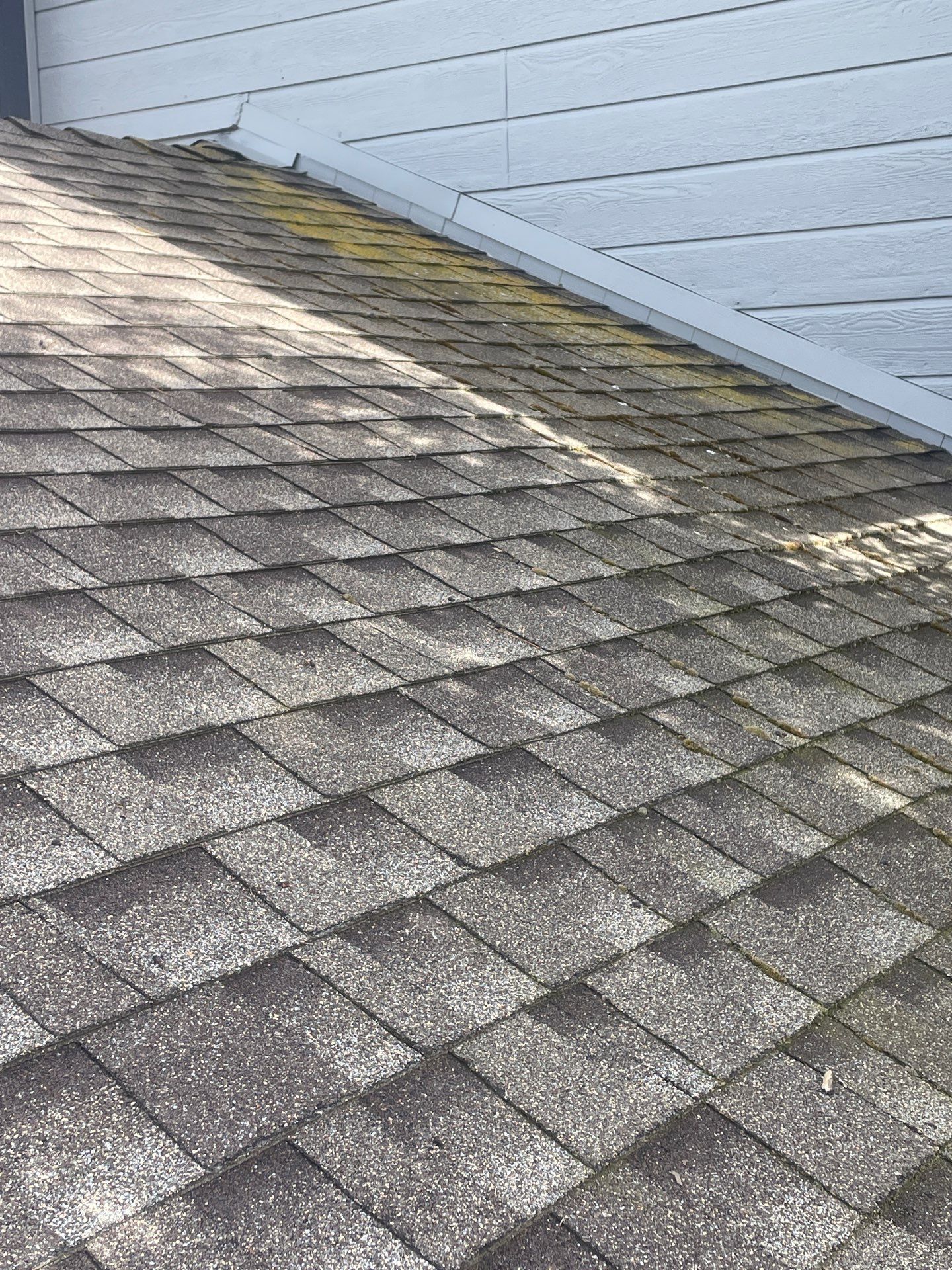 Roof Rejuvenation using Roof Maxx Treatment by Roof Maxx of Folsom