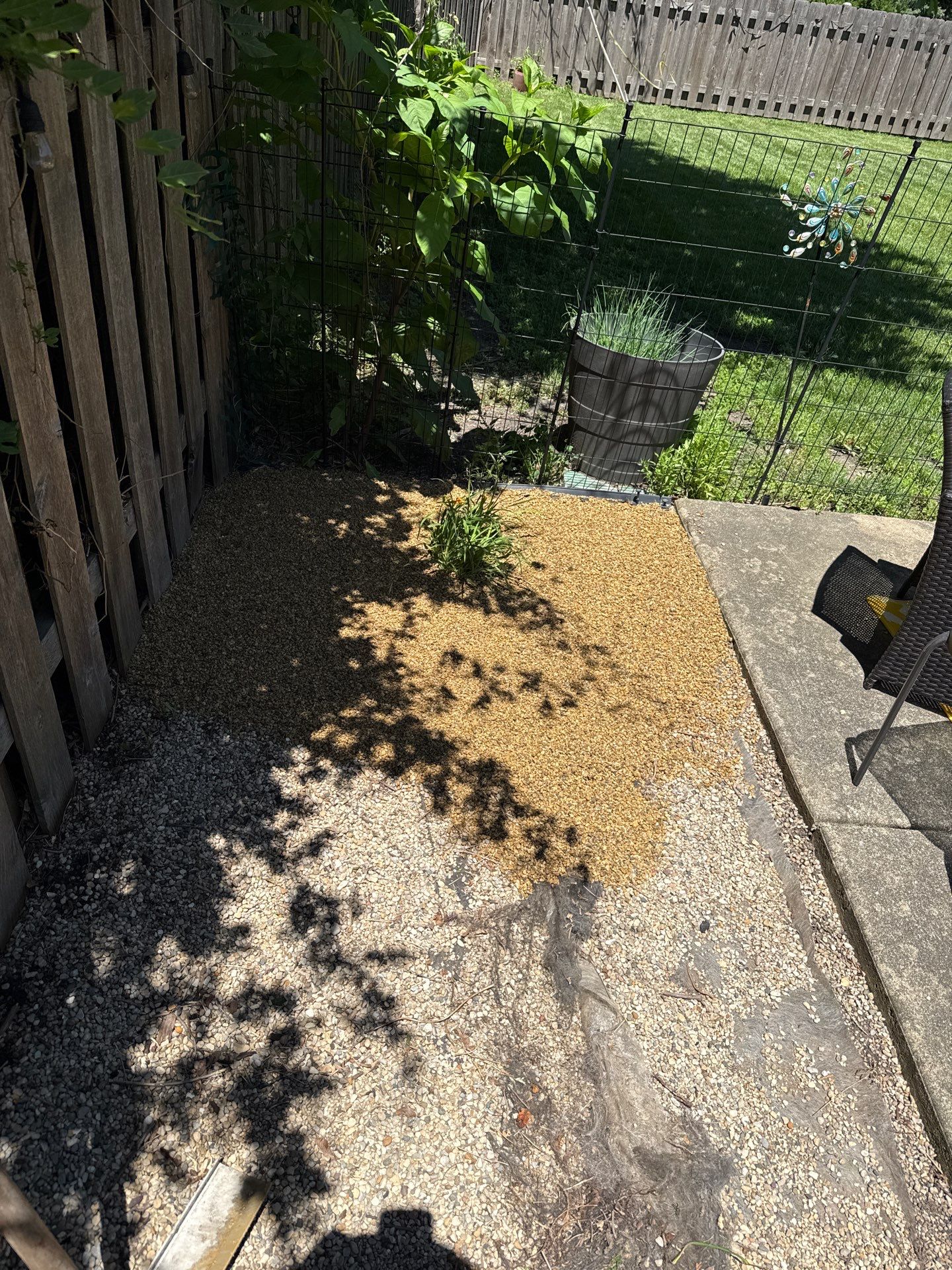 Amy N. - Arlington Heights, IL by A&N 