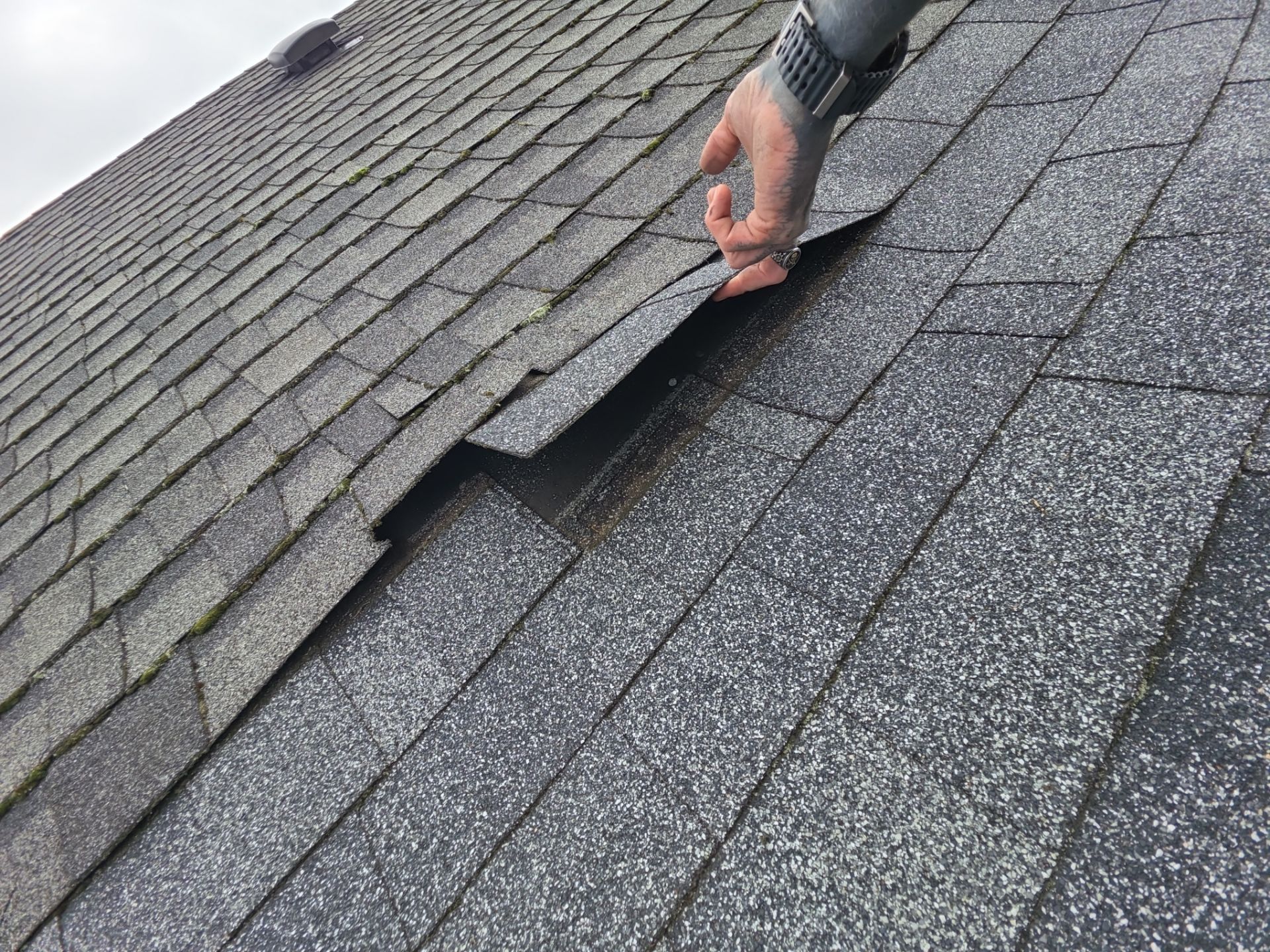 Project in Corvallis by Alamo Roofing