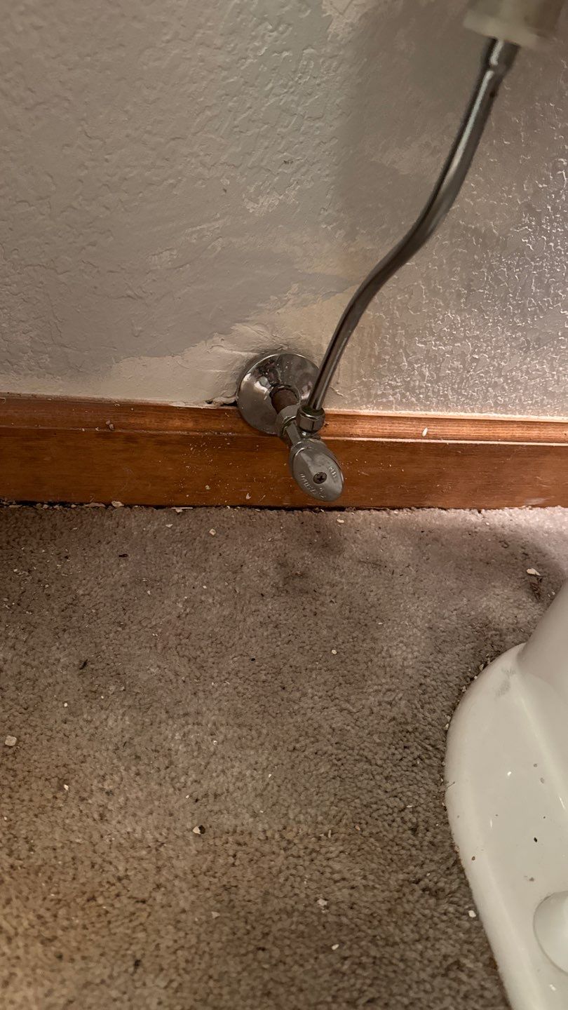 Project in Arvada by Accountable Home Services