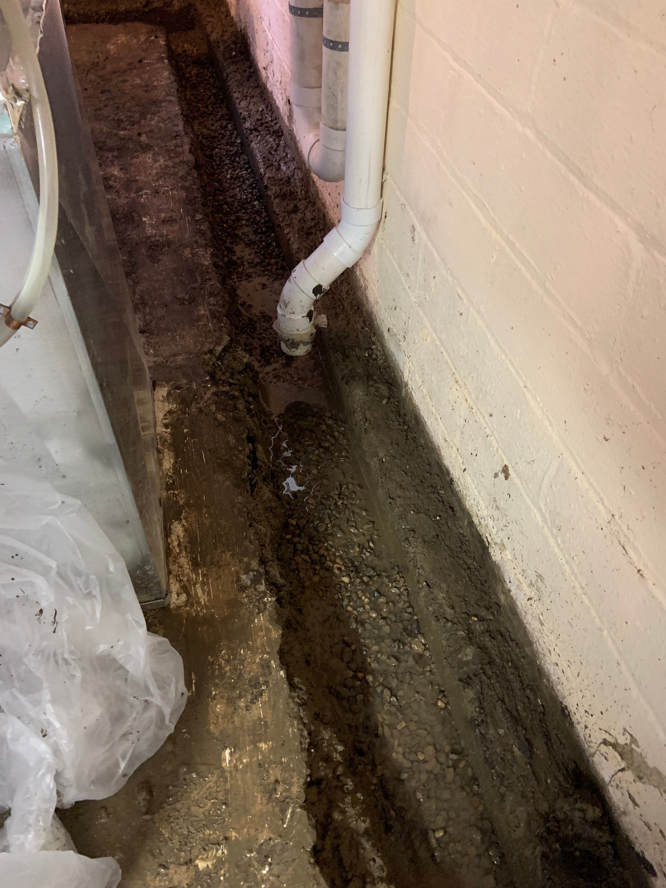 Competitive Pricing & Local Expertise for Claire by Waterproofing Northeast