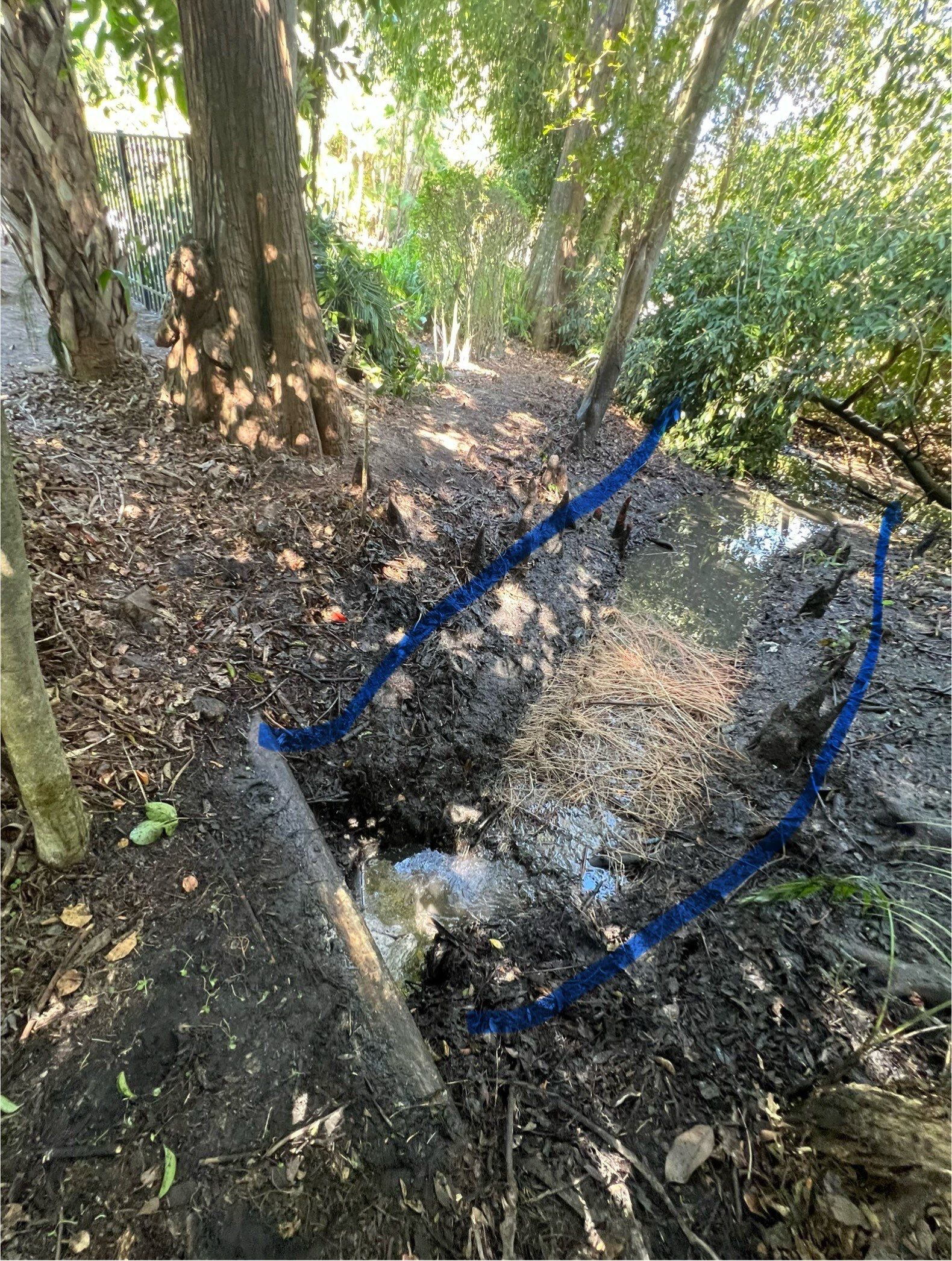 Naples Community Storm Water System Maintenance by APS Power & Water
