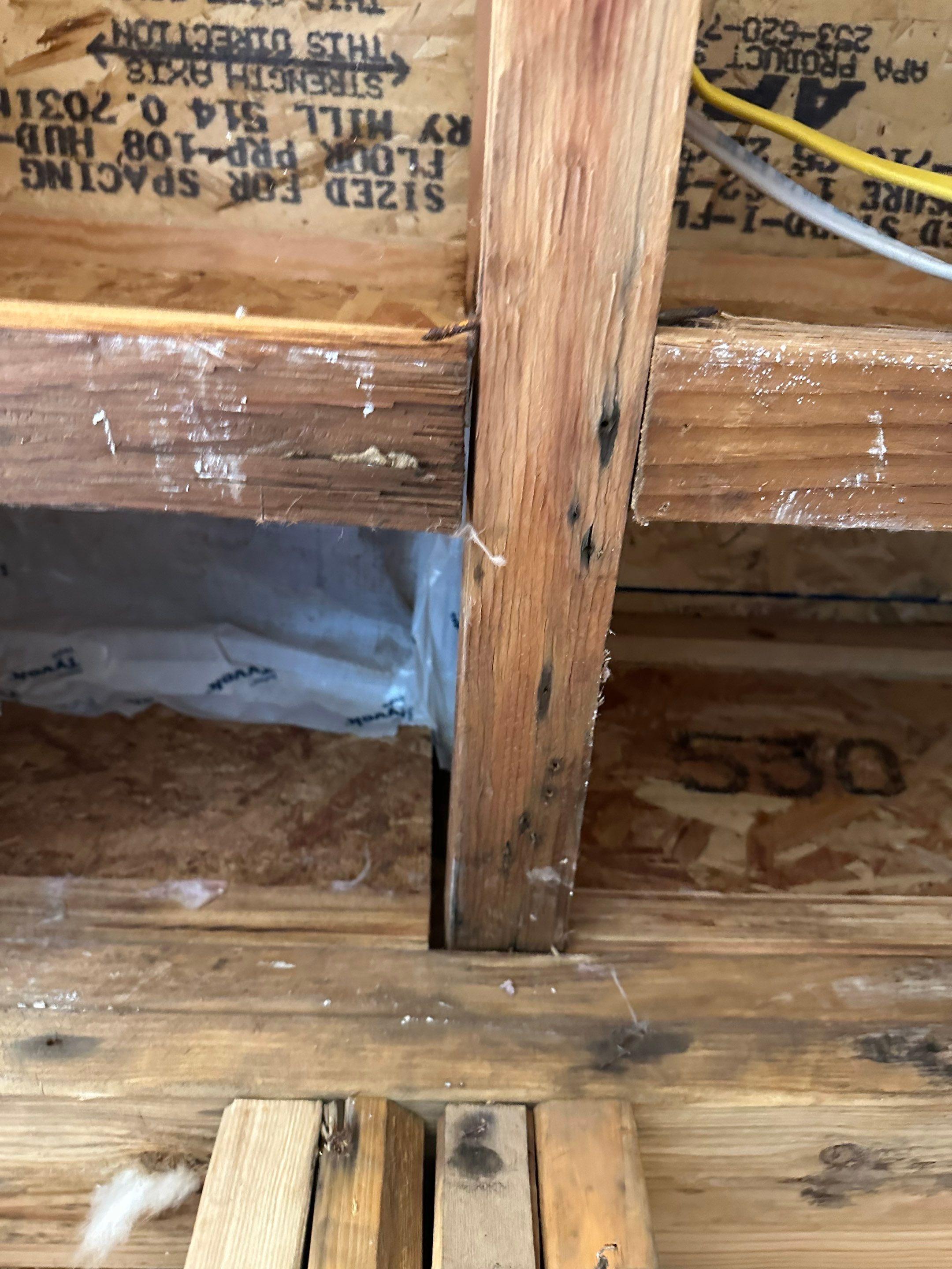 Water Damage in Denver, CO by Alpha Restoration 