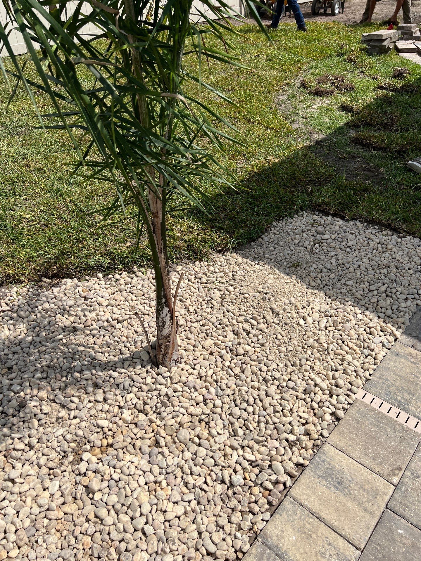 Landscape Install | Residential by ProGreen Services